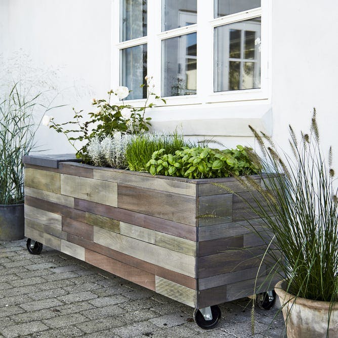 Plant krydderurter og bærbuske på terrassen.
