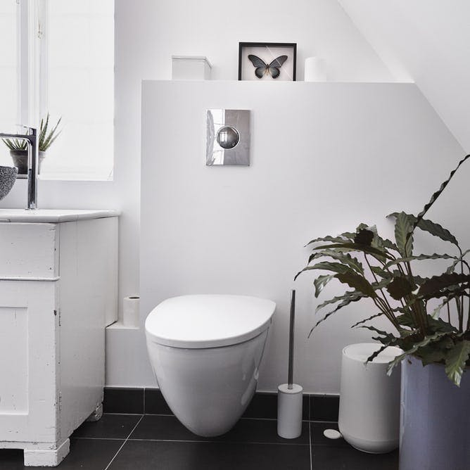 Badeværelse med hængende toilet og stor plante.