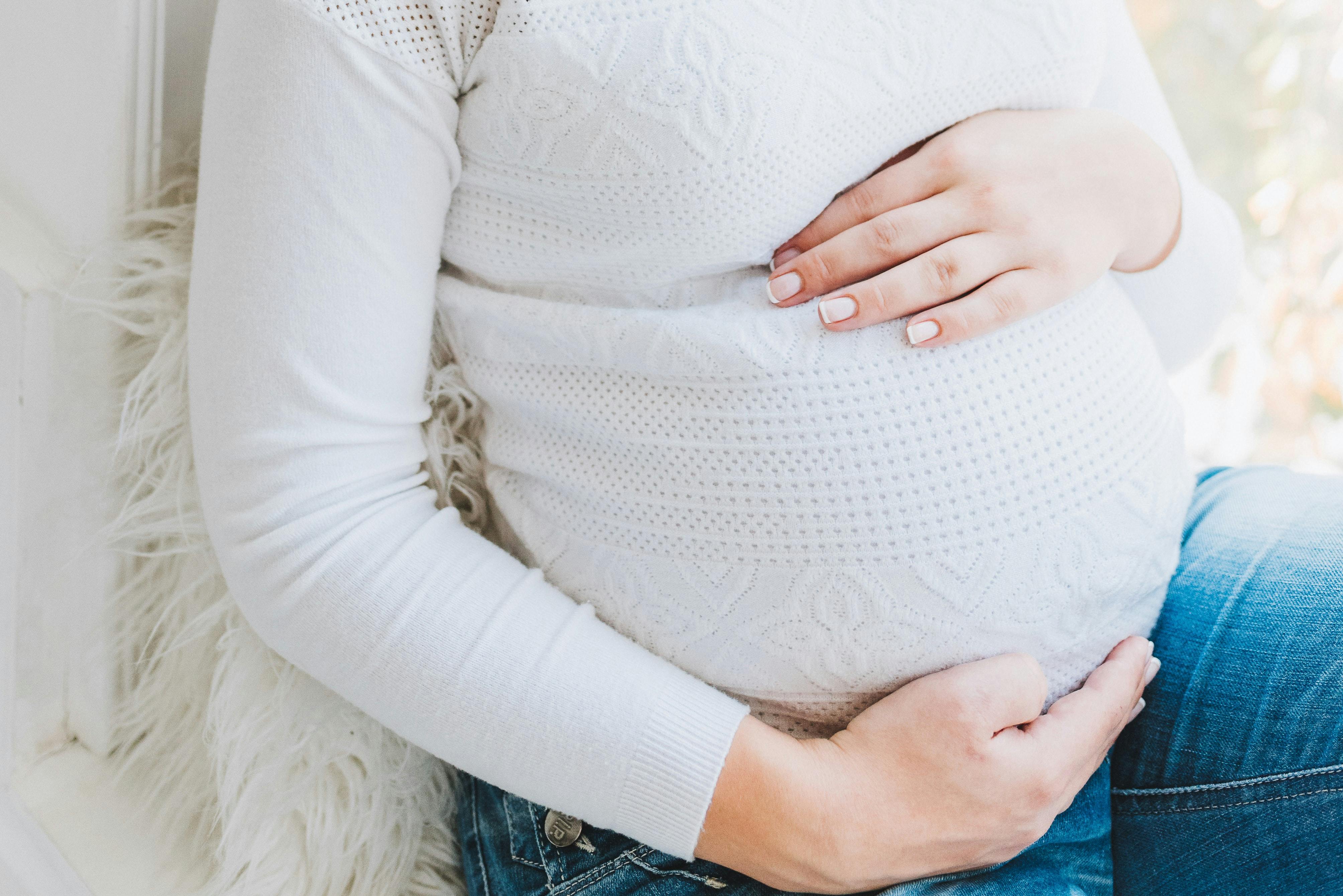 gravid