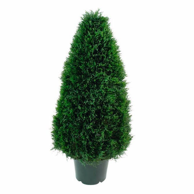 Juletræ i potte og med bløde nåle.