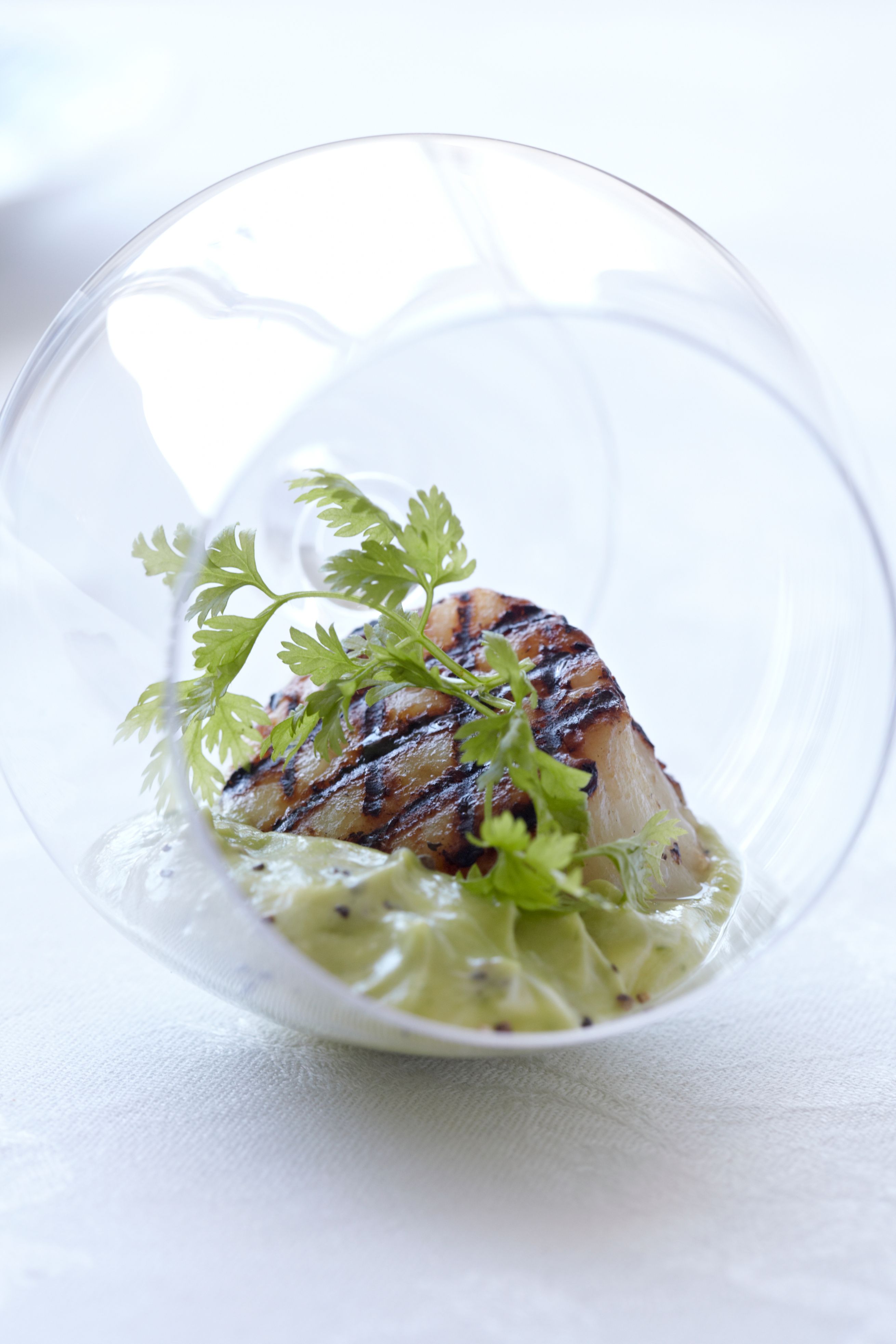 Kammuslinger med kold avocadocreme