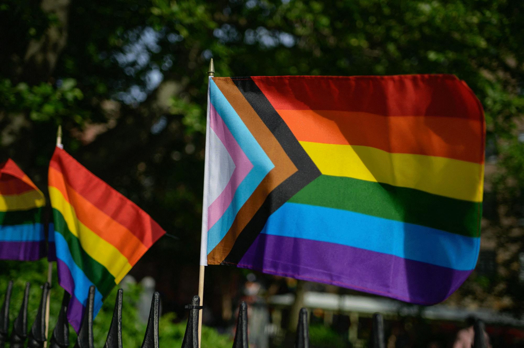 https://imgix.femina.dk/2021-08-16/det_progressive_prideflag.png