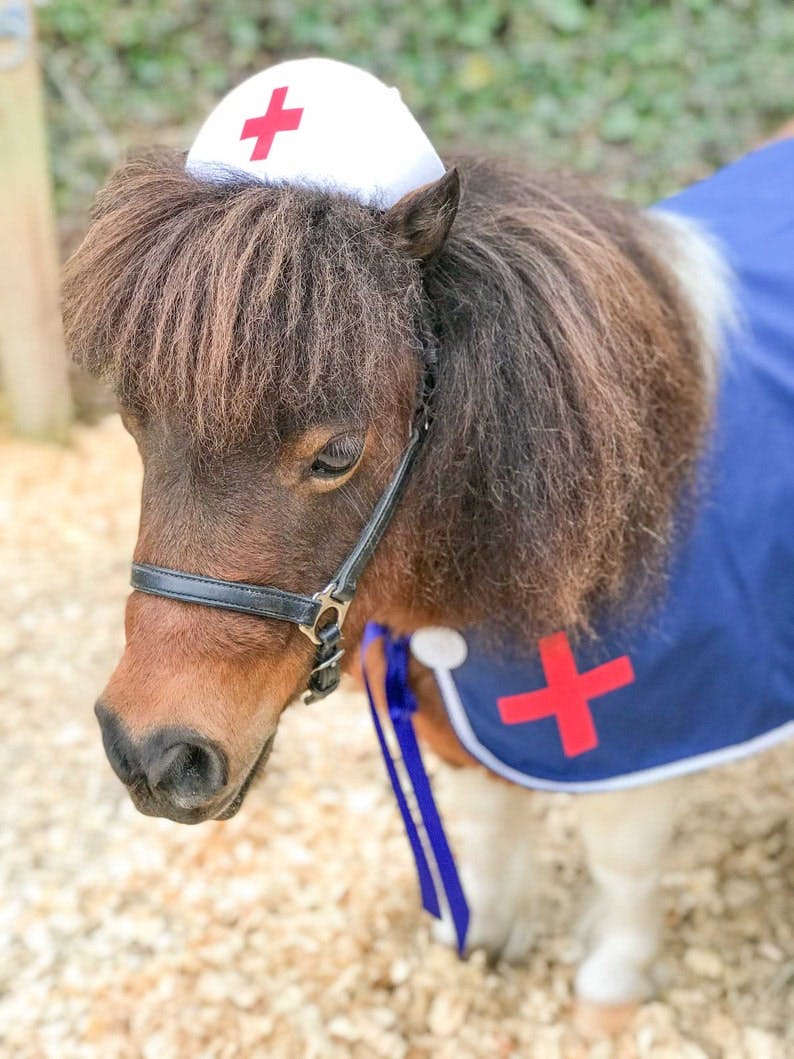 Hest i sygeplejerske-kostume