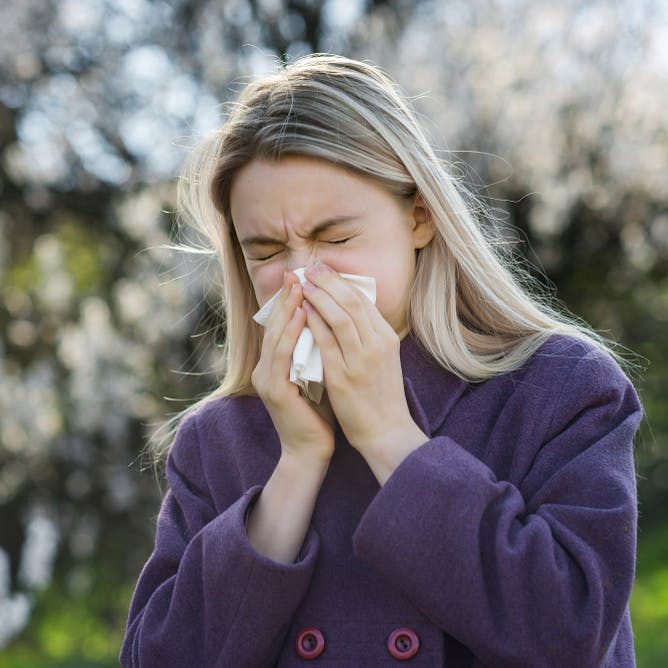 pollenallergi
