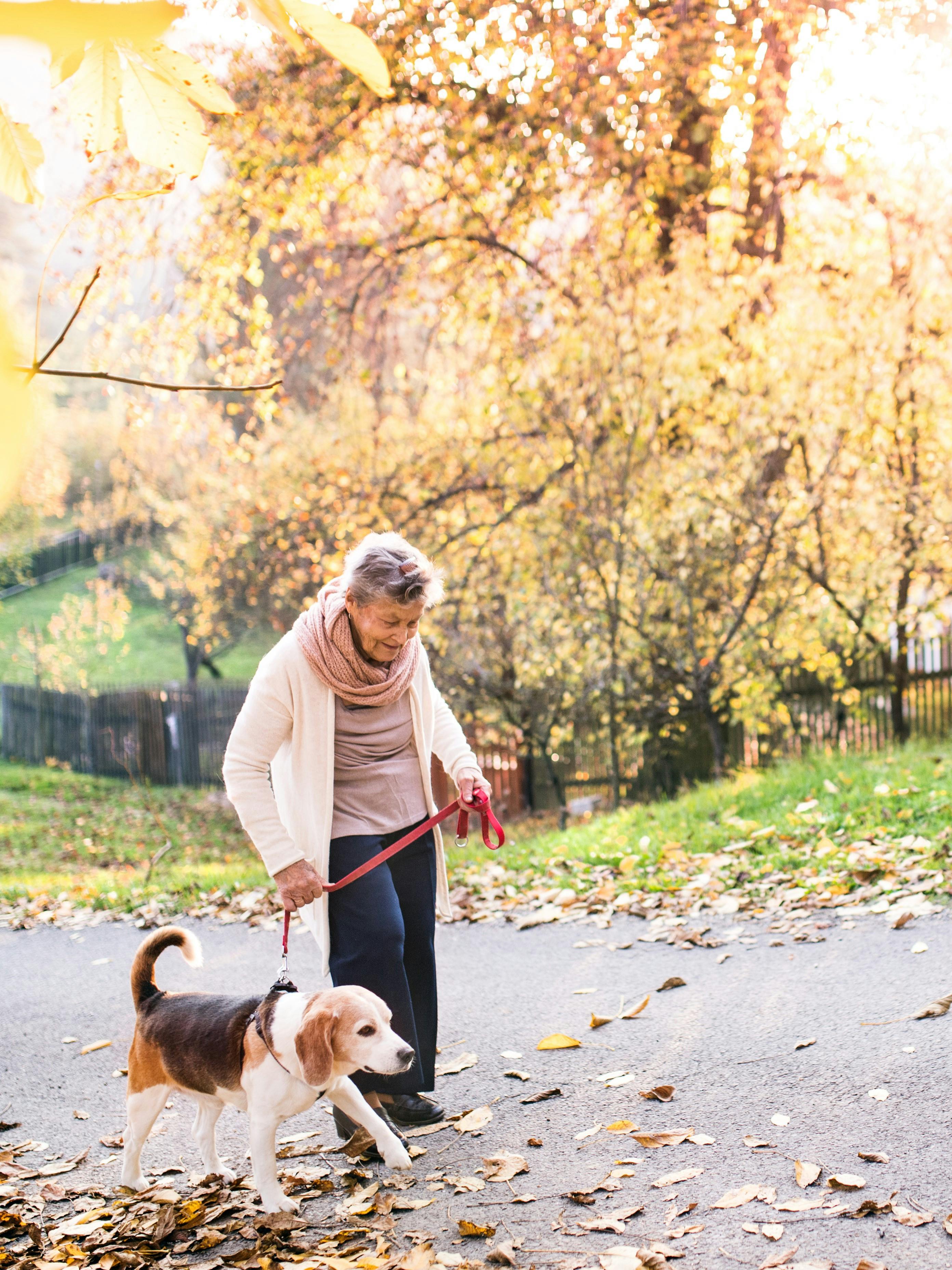 Træn som bedstemor træningsråd aktiv hverdag