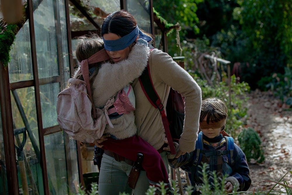 bird box