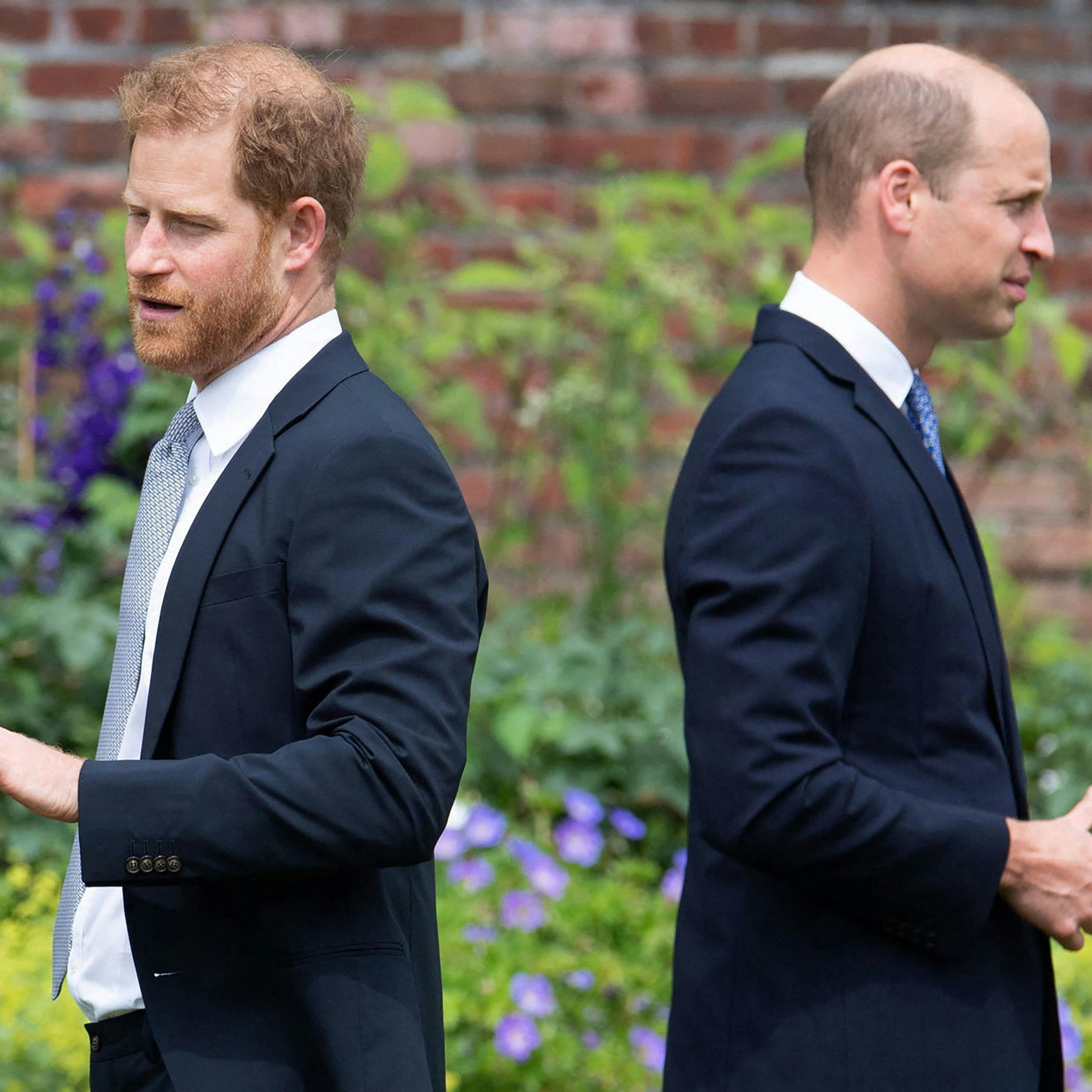 Prins Harry og William
