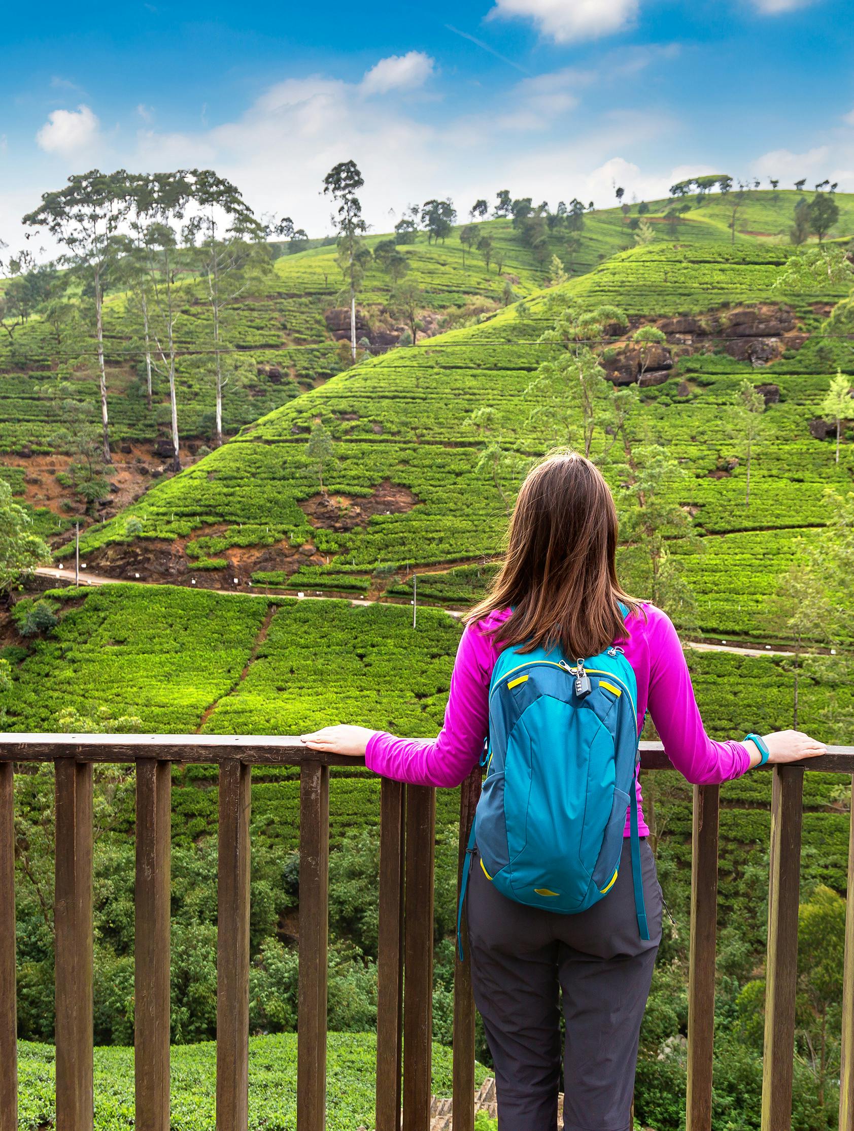 Woman traveler at the Tea plantations in Nuwara Eliya, Sri Lanka