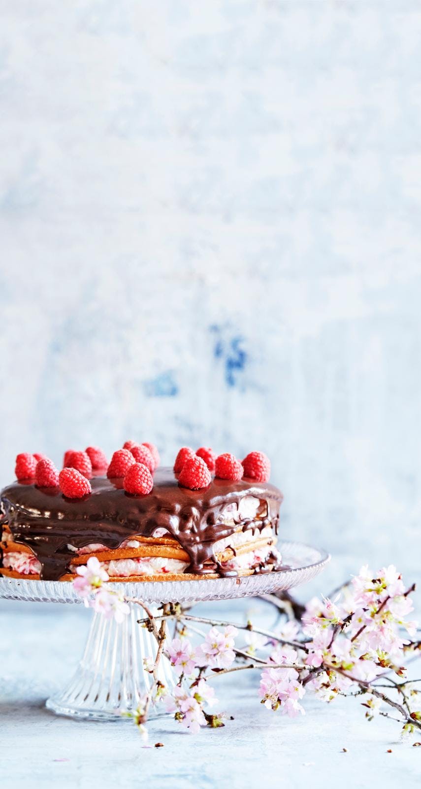 Lagkage med hindbærskum og chokolade