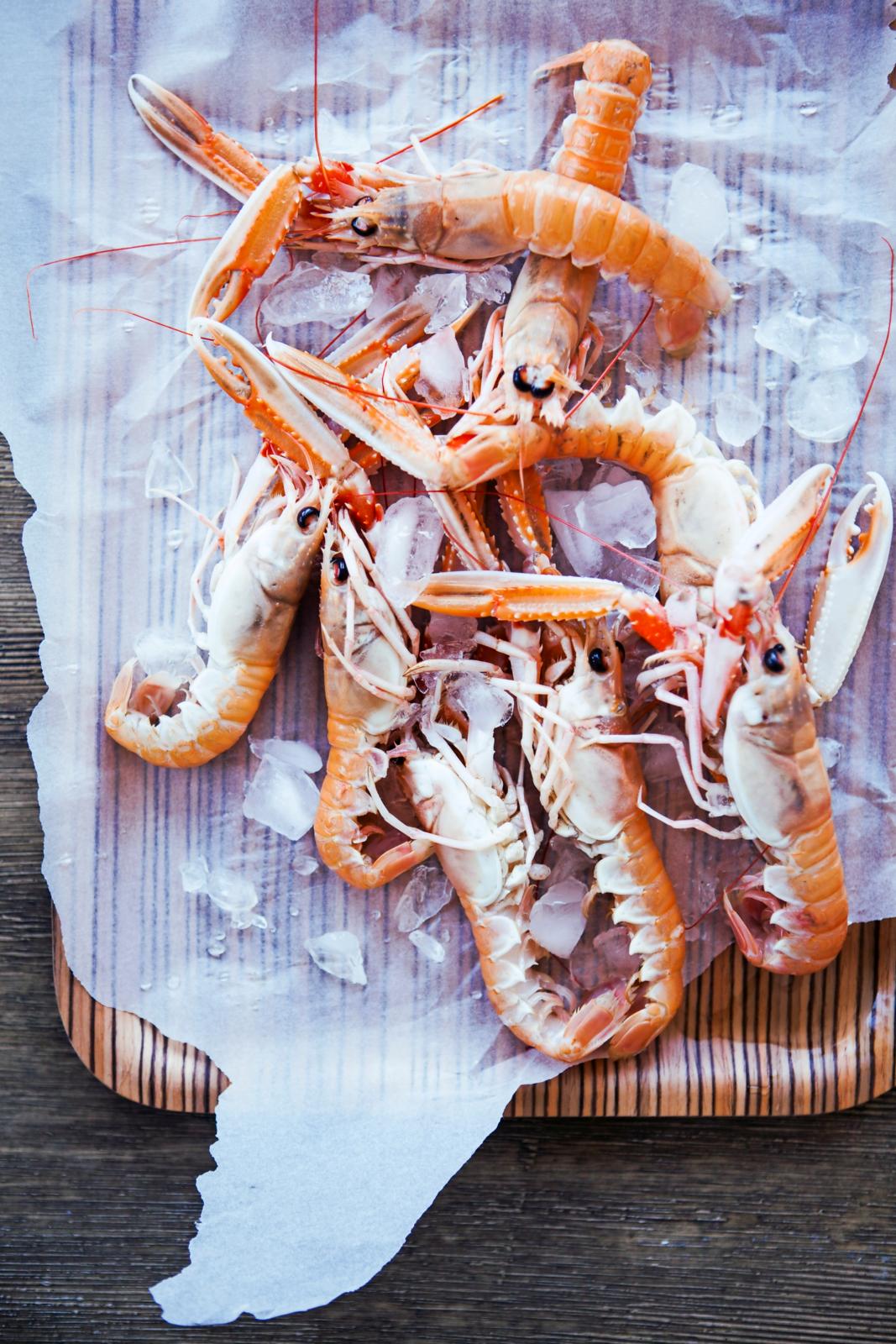 /upload/thumbnail1/2025/2/23/190643/thumb2