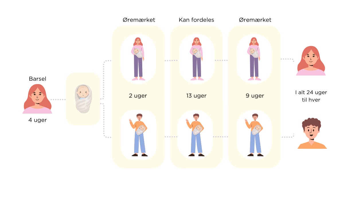 Grafisk oversigt over barselsorlovregler