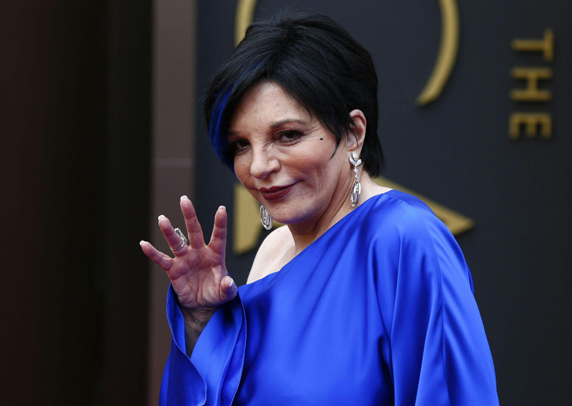 ARKIVFOTO 2006 af Liza Minnelli- - Amerikansk sanger og skuespiller Liza Minnelli fylder 70 år lørdag den 12. marts 2016. (Foto: DAVID MOIR/Scanpix 2016)