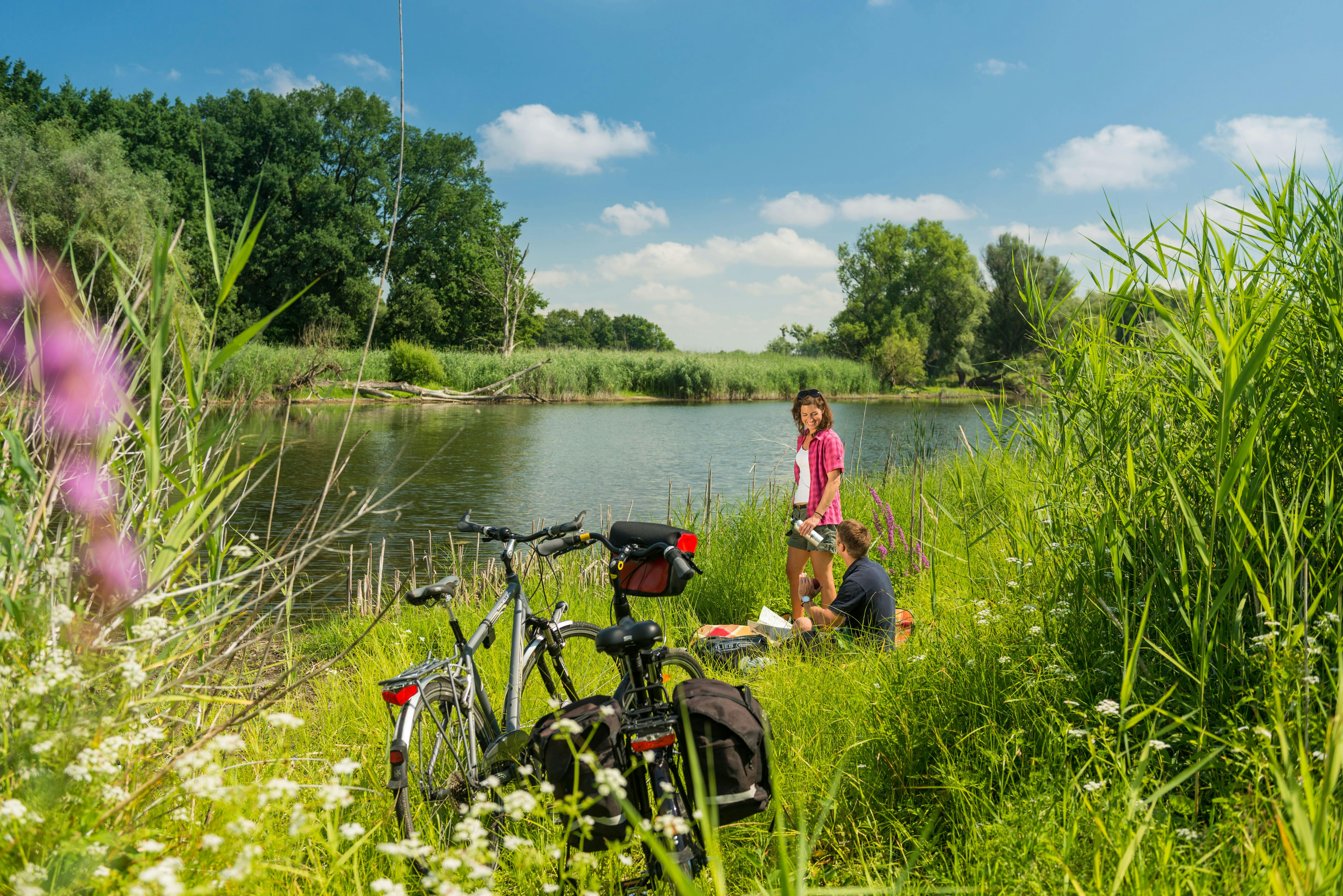 https://imgix.femina.dk/2024-09-06/Elberadweg-bei-Schonebeck-%28C%29MD-TV-Elbe-Borde-Heide-Dominik-Ketz.jpg