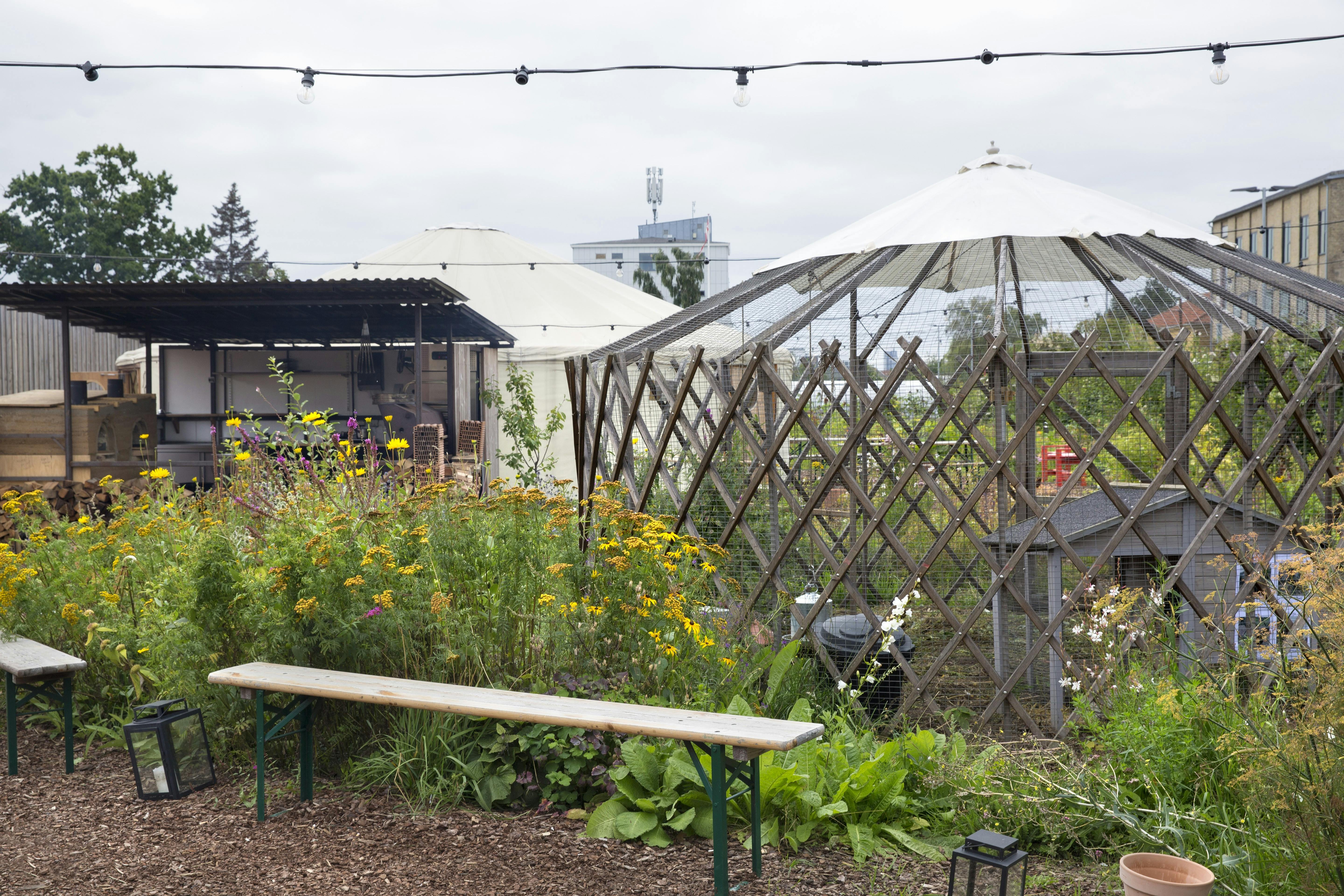 Urban_Gardening