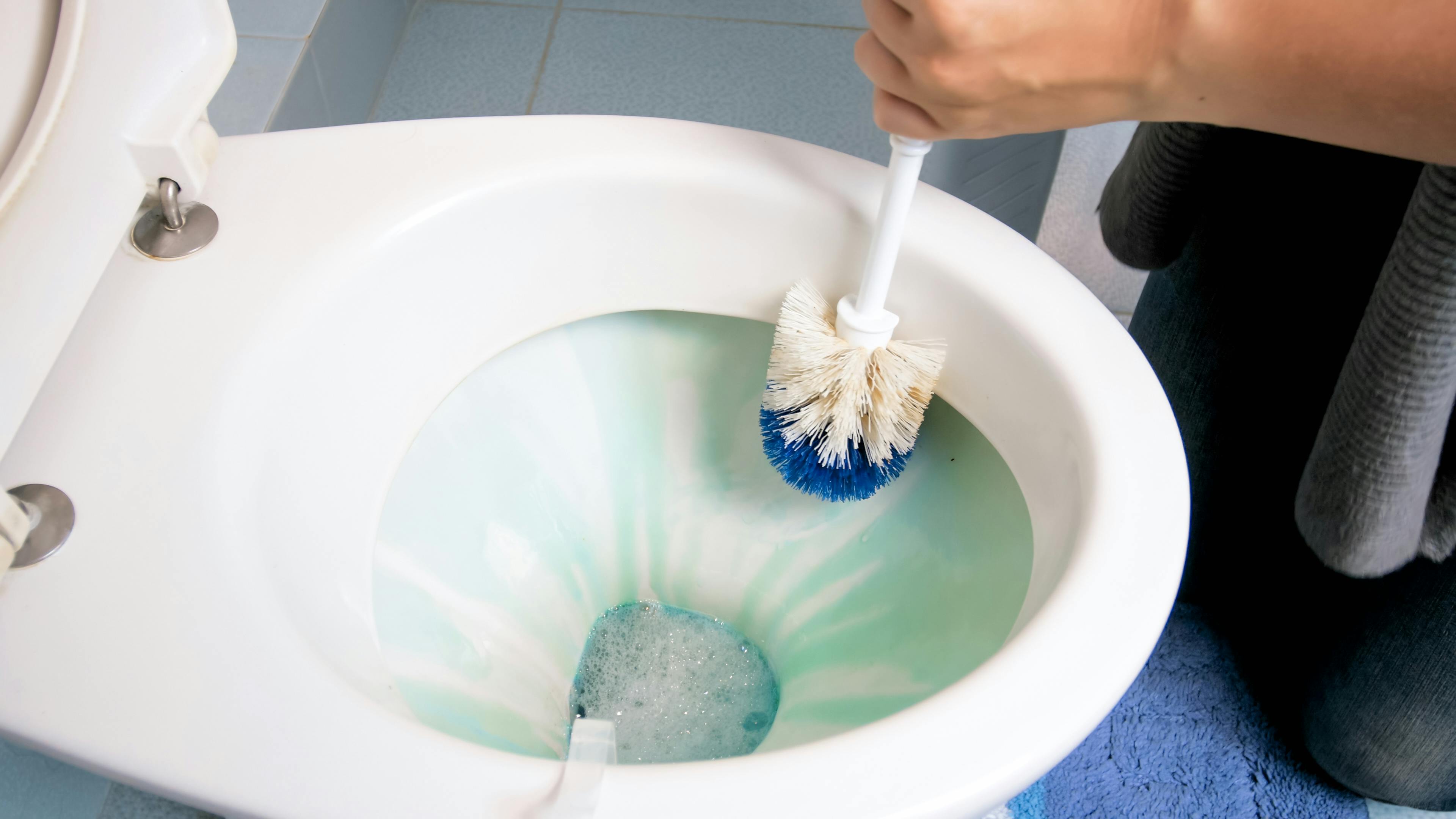 Closeup photo of young woman cleaning toilet with brush