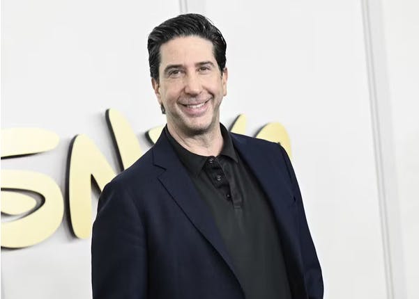 David Schwimmer spilleder Ross i 'Venner'