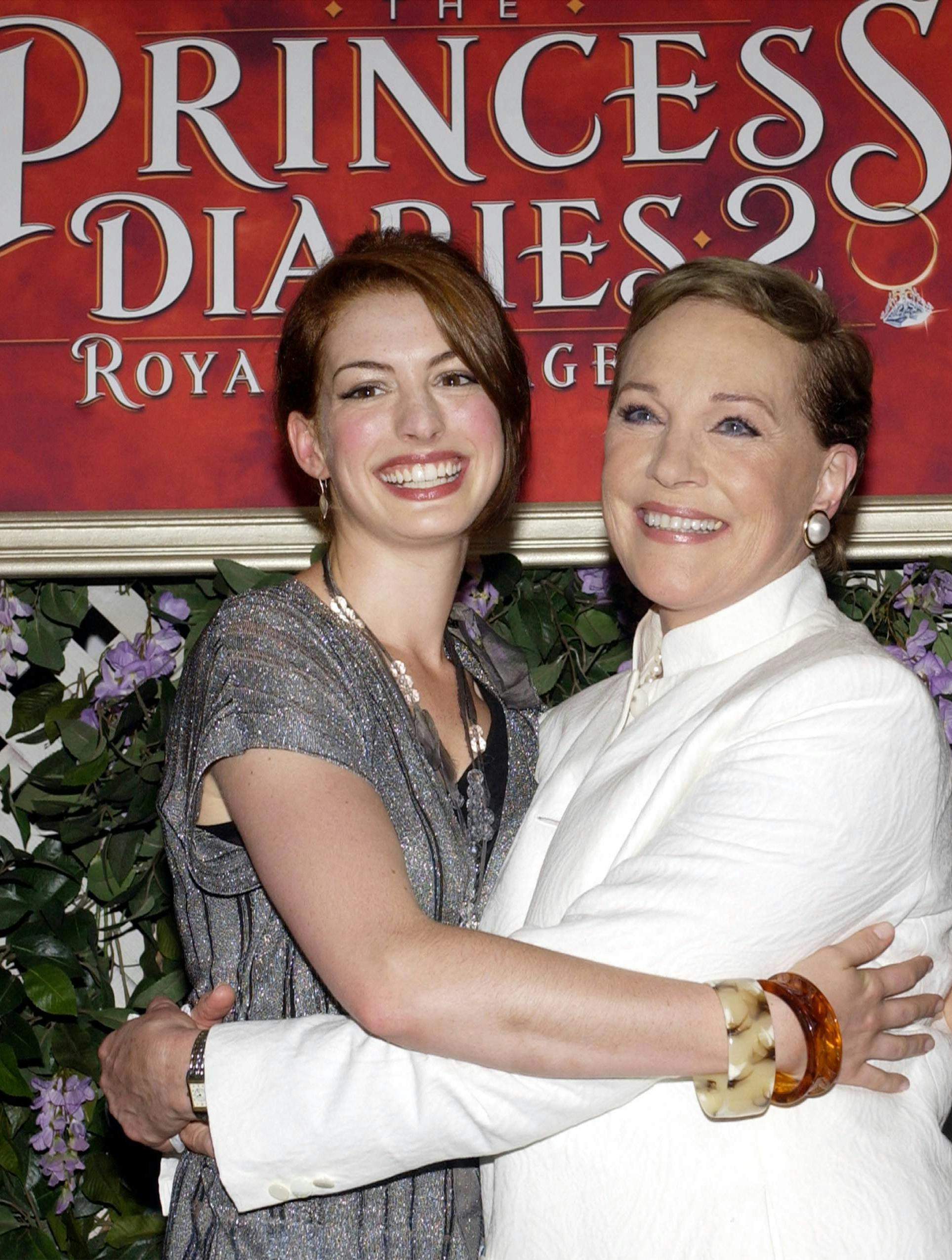 princess diaries anne hathaway