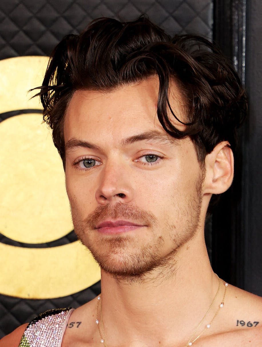 harry styles