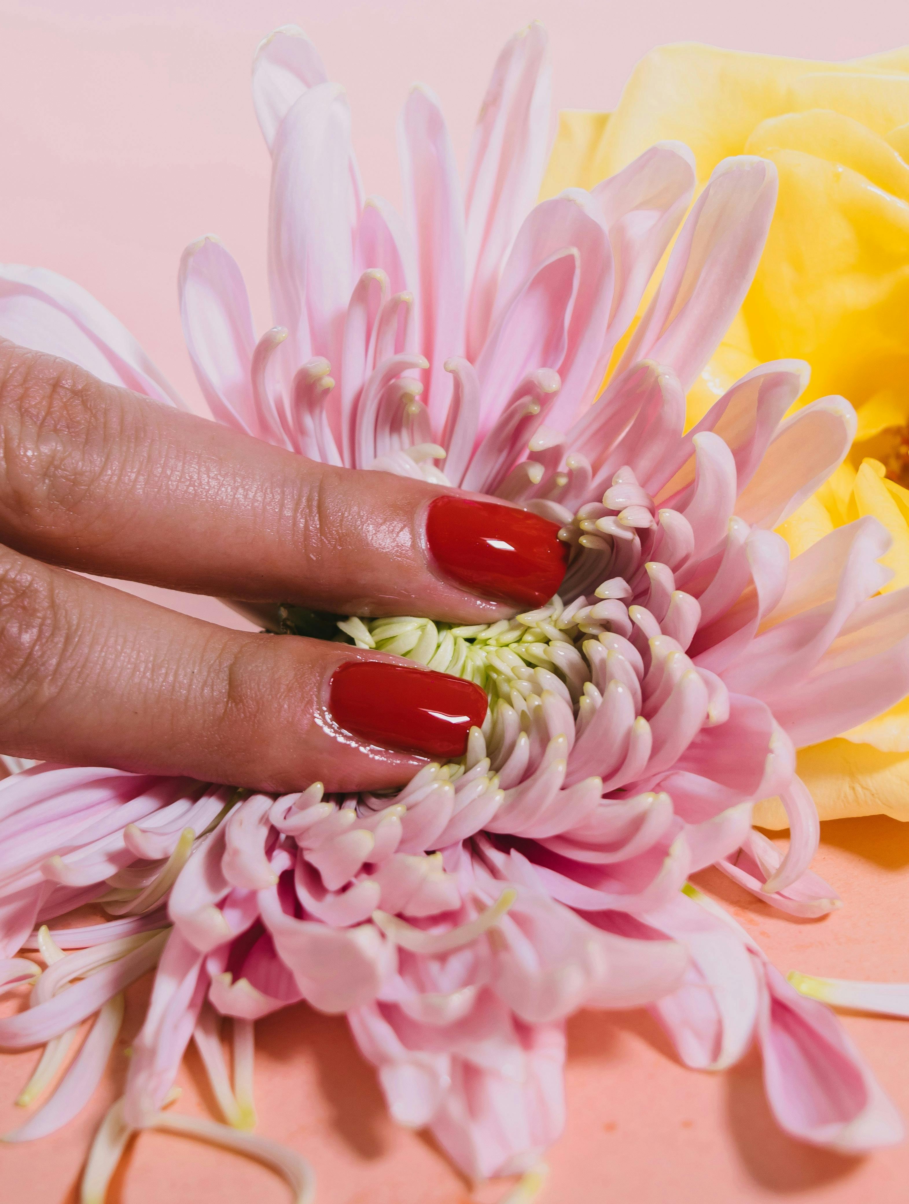 sex efter overgangsalderen