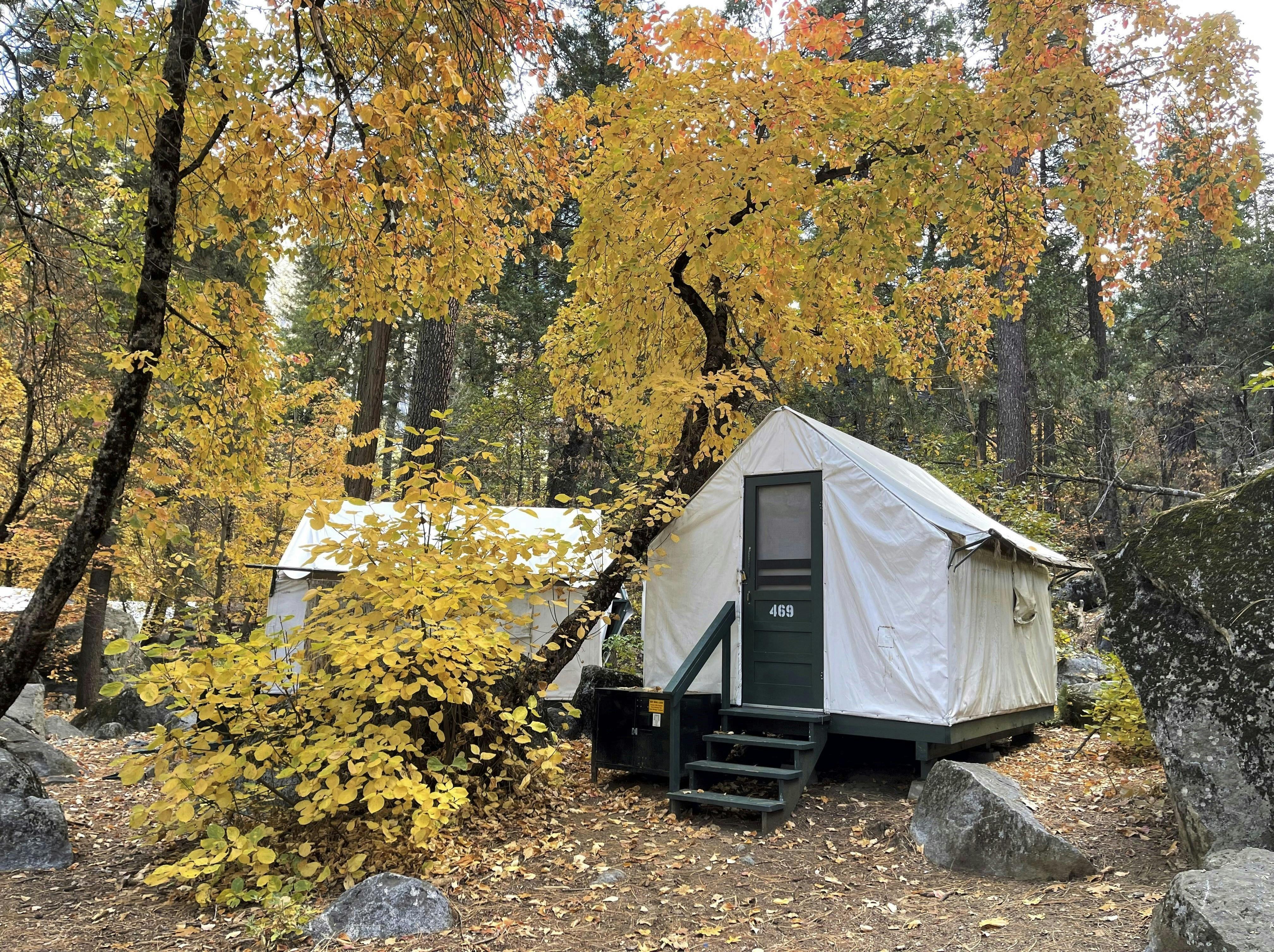 https://imgix.femina.dk/2024-10-31/acp-Yosemite-Curry-tent-3.jpg