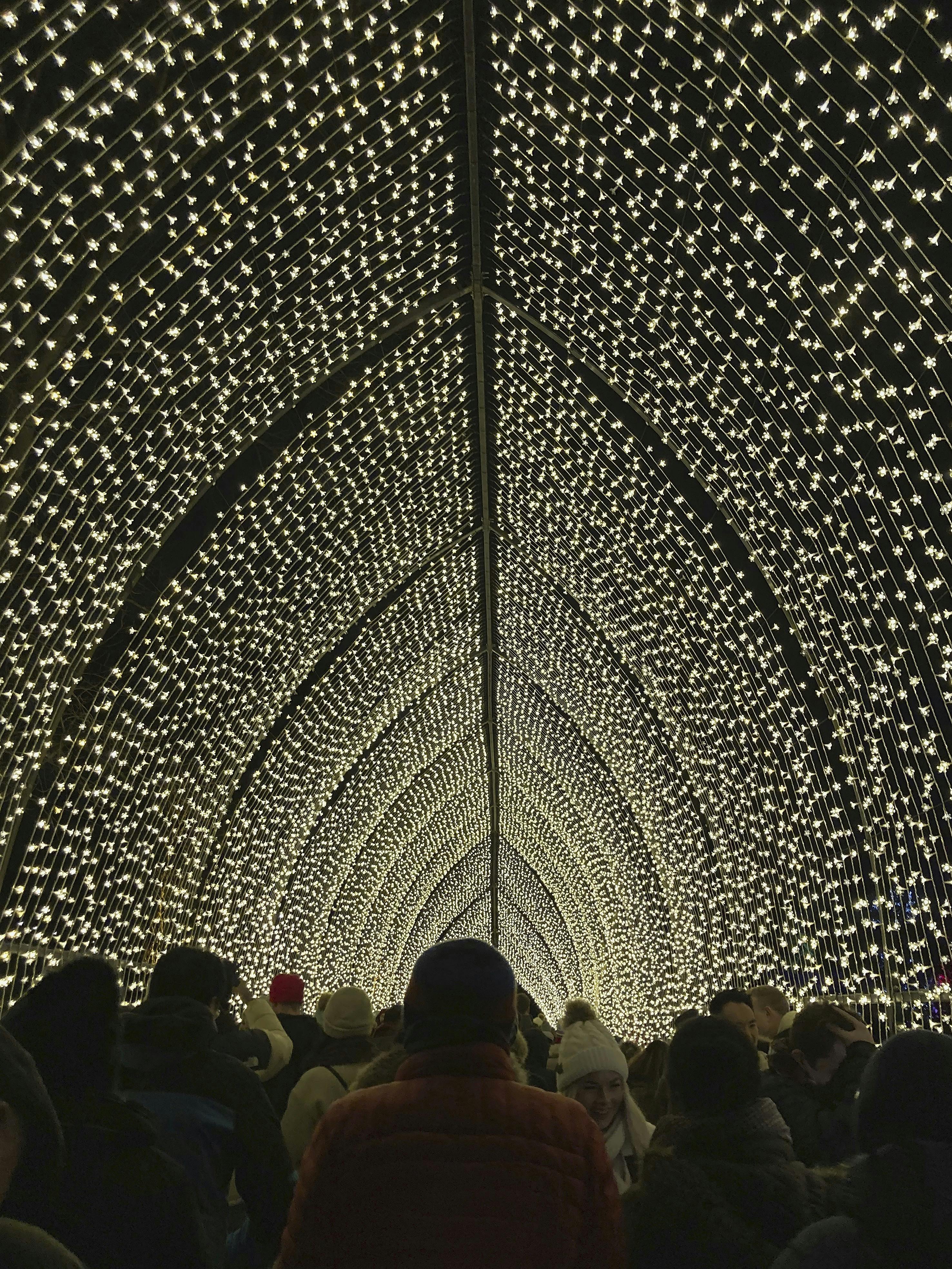 https://imgix.femina.dk/2024-11-28/Christmas-Cathedral-i-Kew-Gardens-er-en-30-meter-lang-promenade.jpg