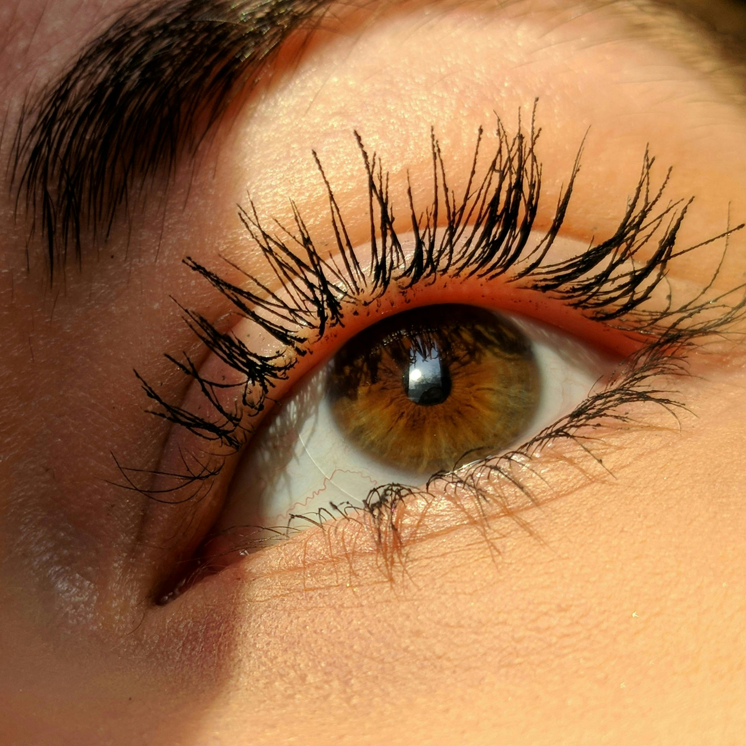 https://imgix.femina.dk/2024-12-03/aleks-Wude2F3CMss-unsplash.jpg