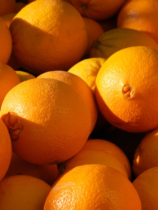 navel orange