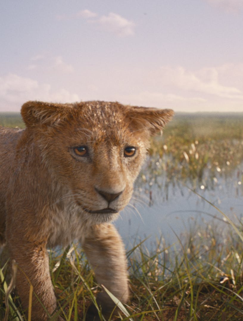 løvernes konge anmeldelse af film