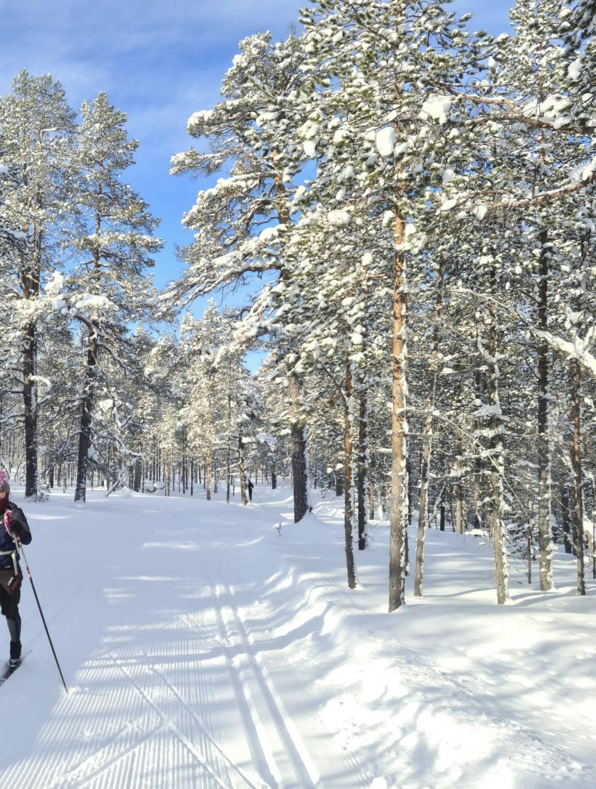 lapland_