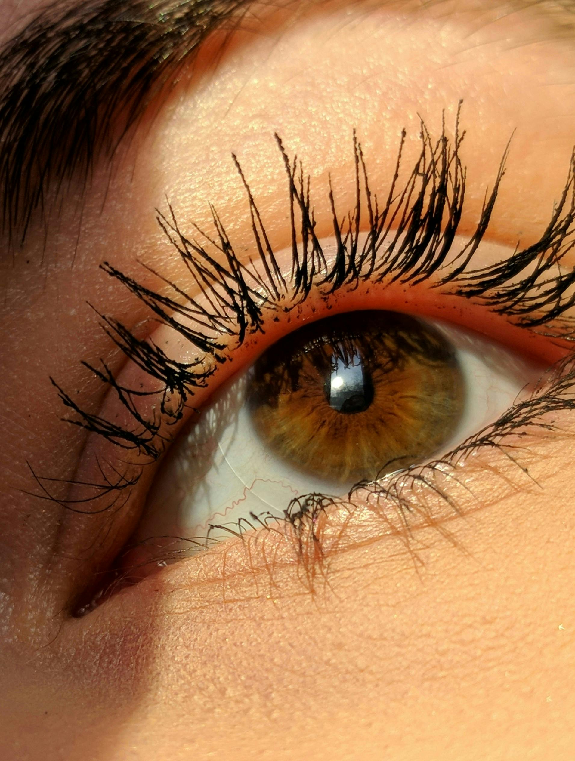 mascara til 35 kroner hyldes
