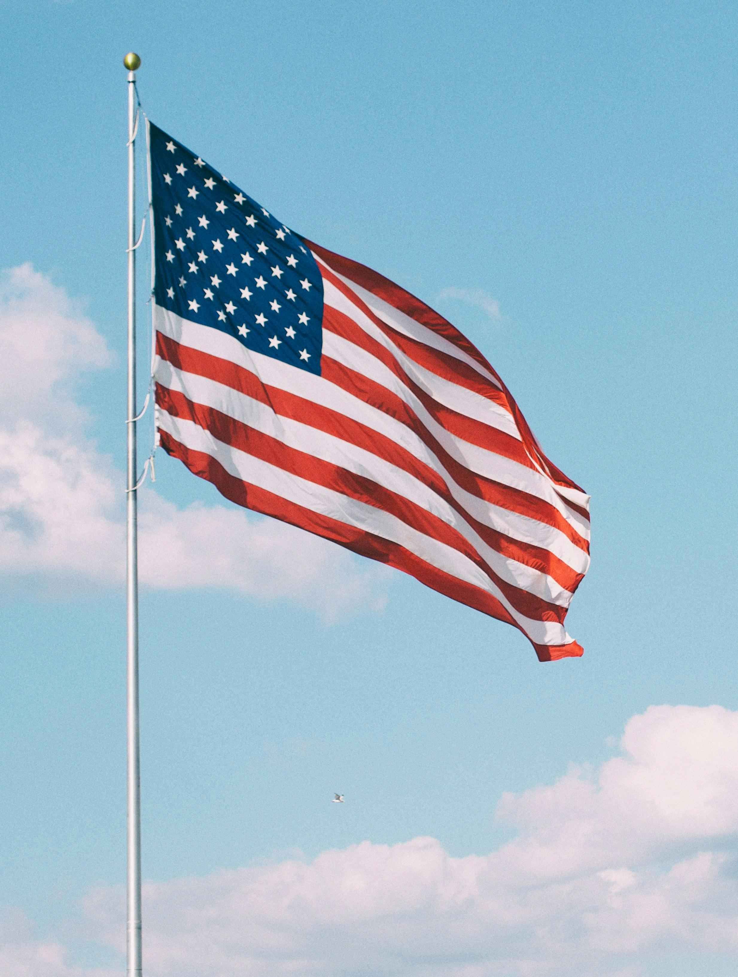 det amerikanske flag