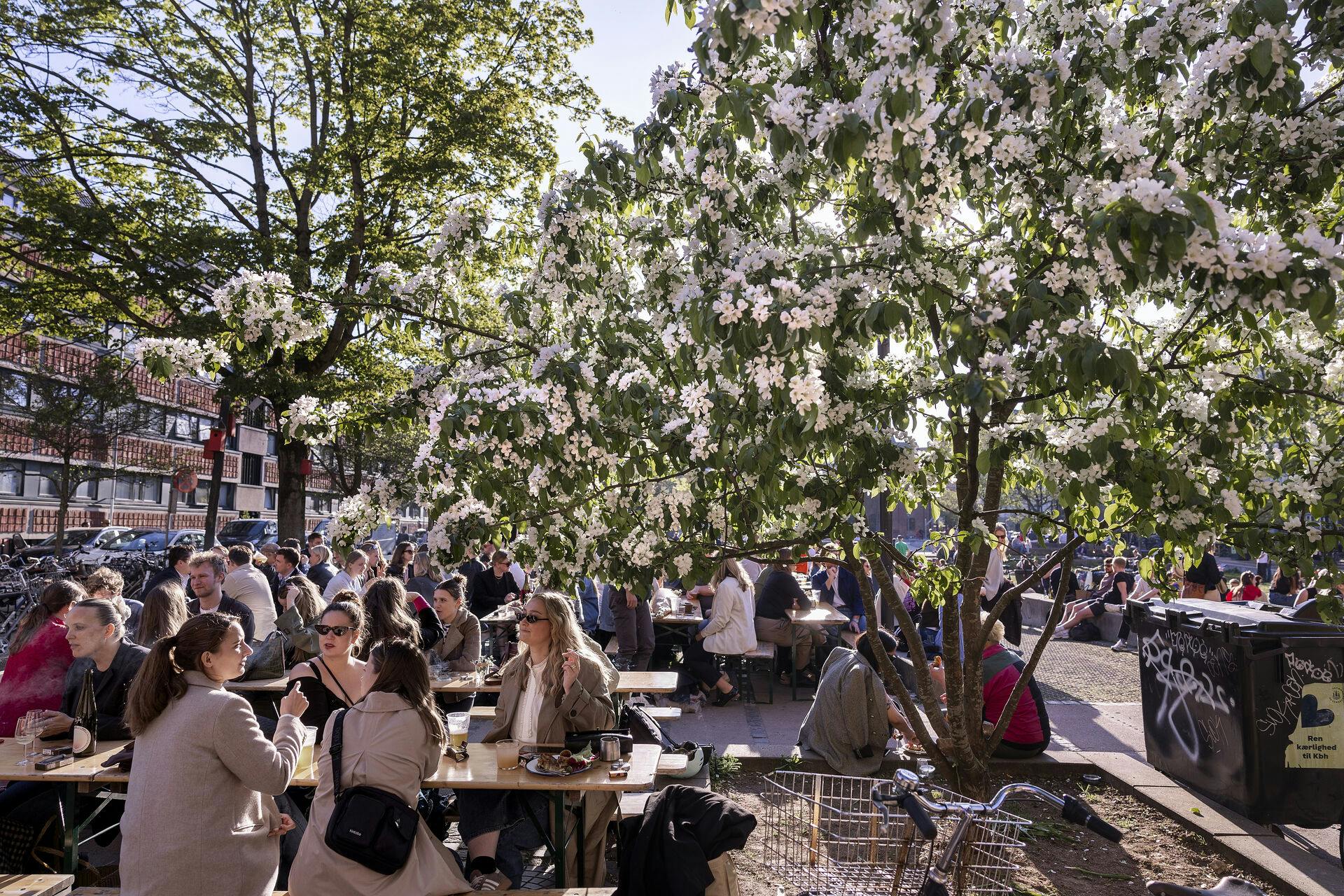 kulturanbefaling til københavn