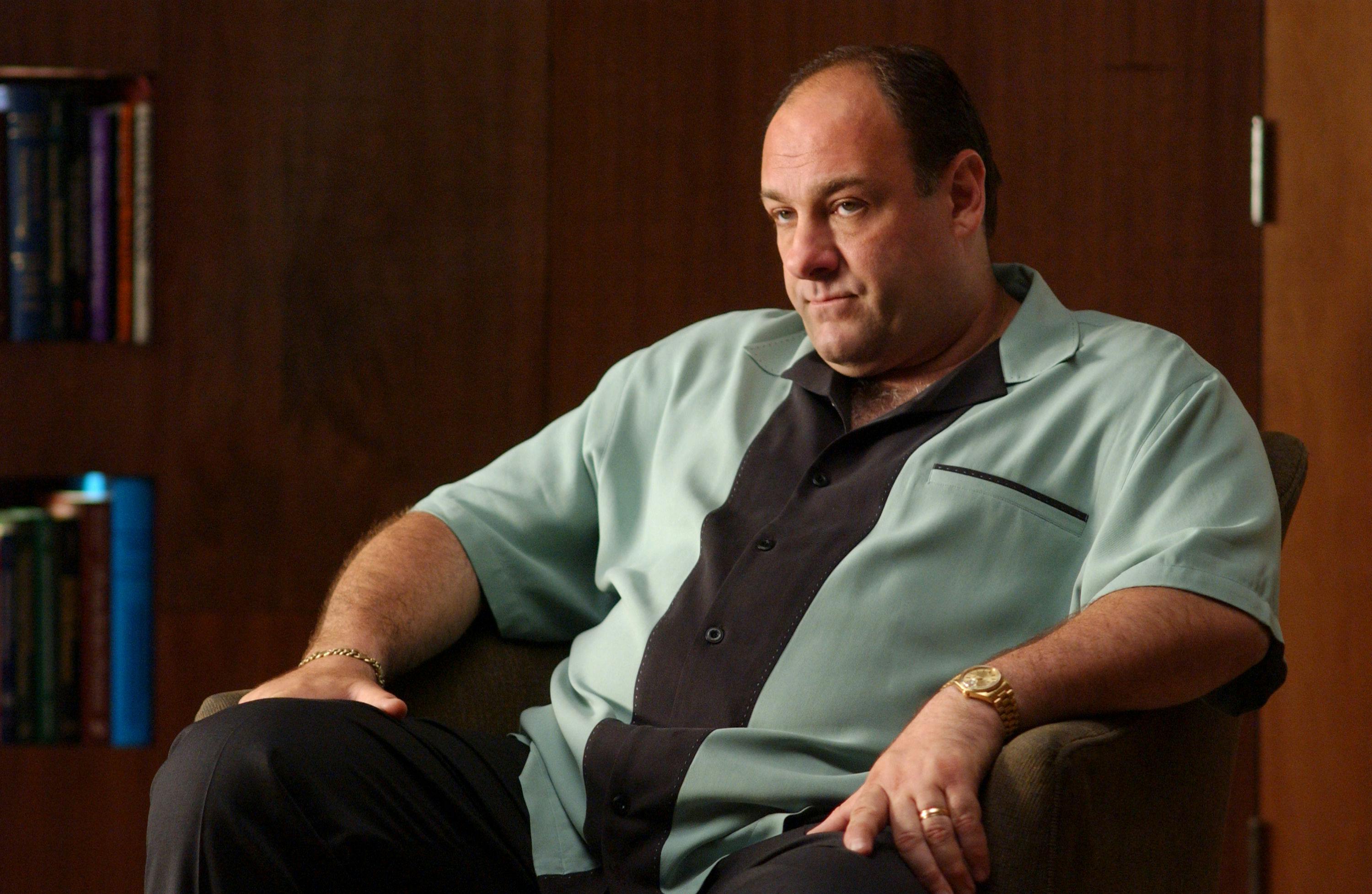 'The Sopranos'