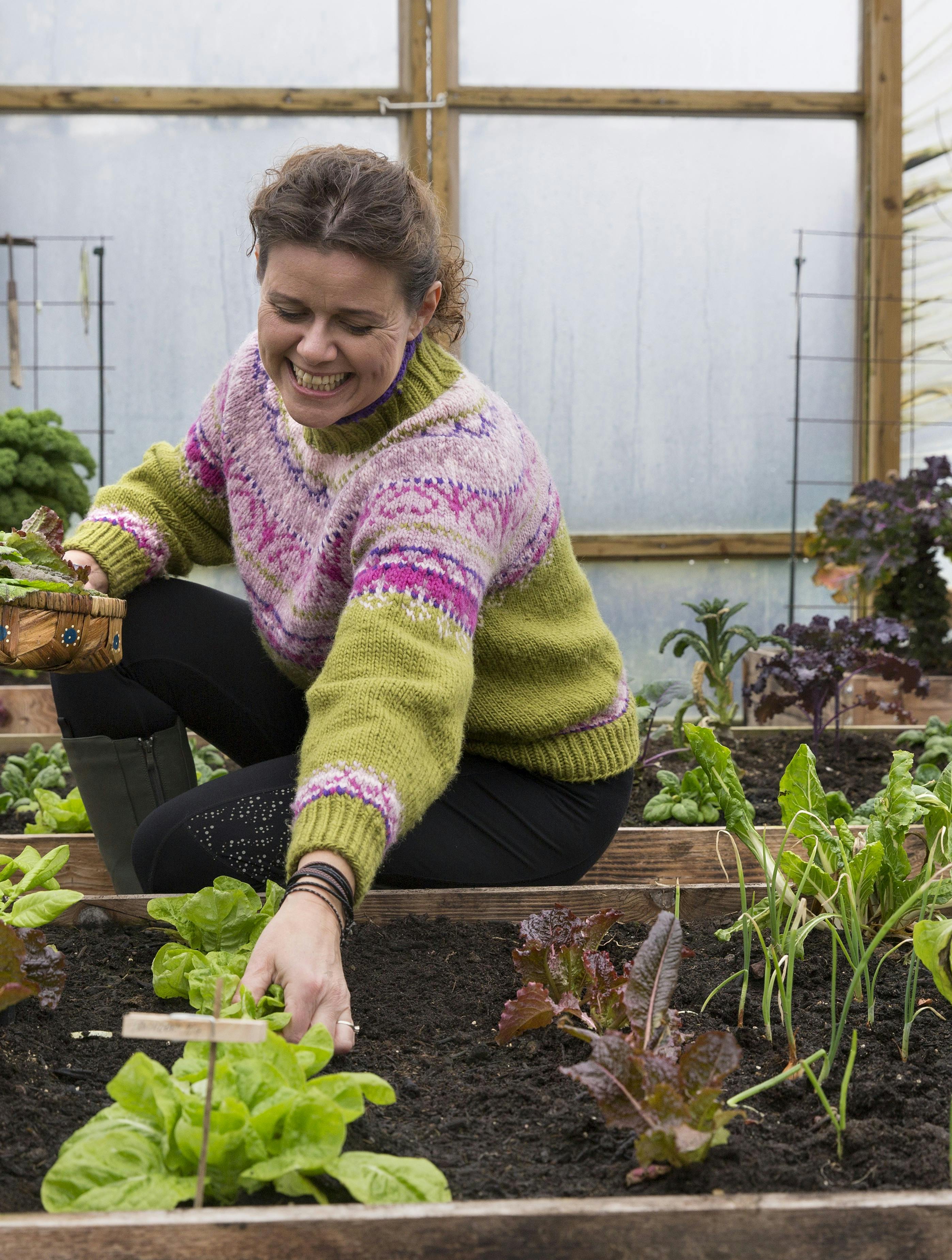 Dyrk grøntager året rundt