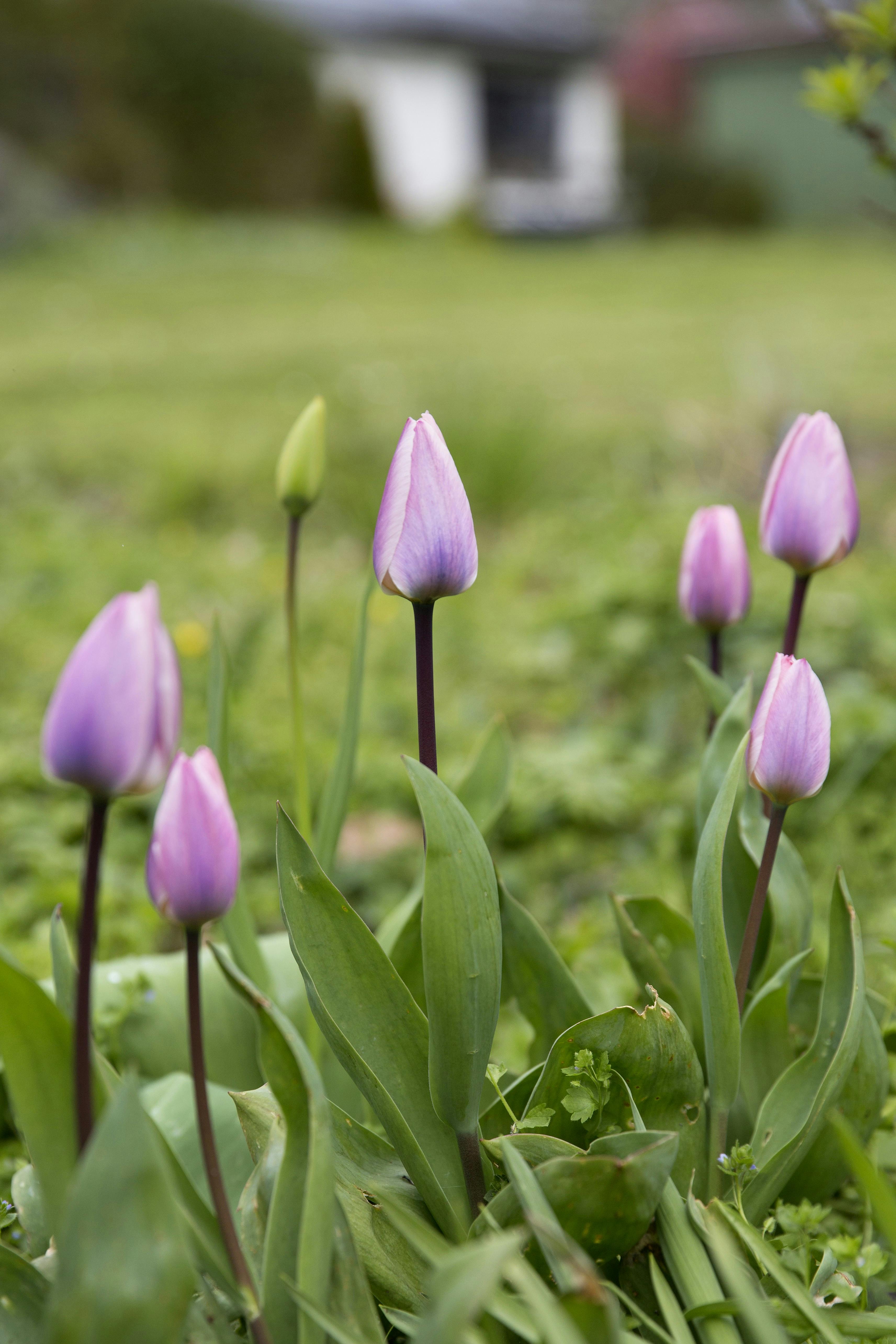 https://imgix.femina.dk/2025-04-09/8E0A0357.jpg
