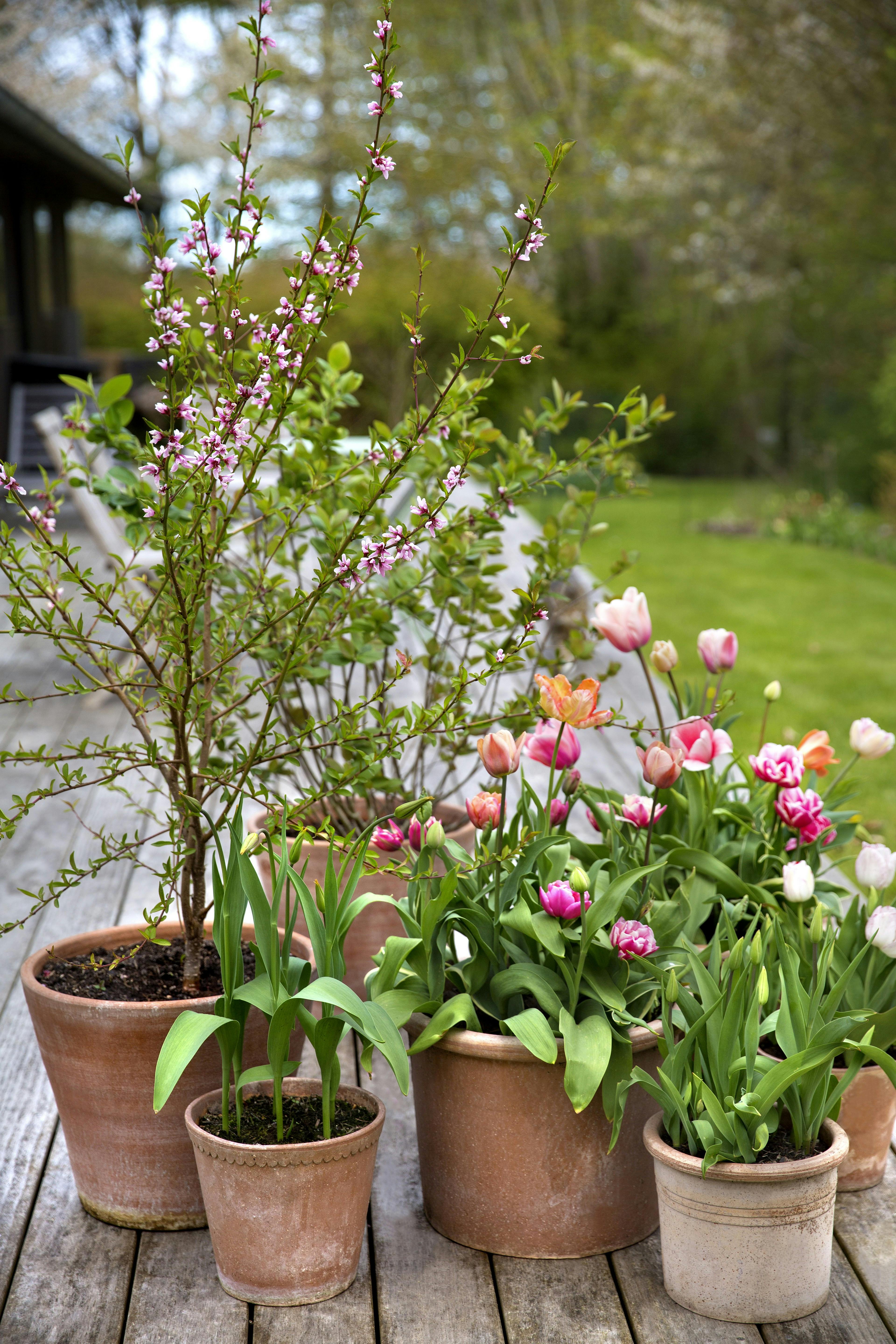 https://imgix.femina.dk/2025-05-02/8E0A4477.jpg