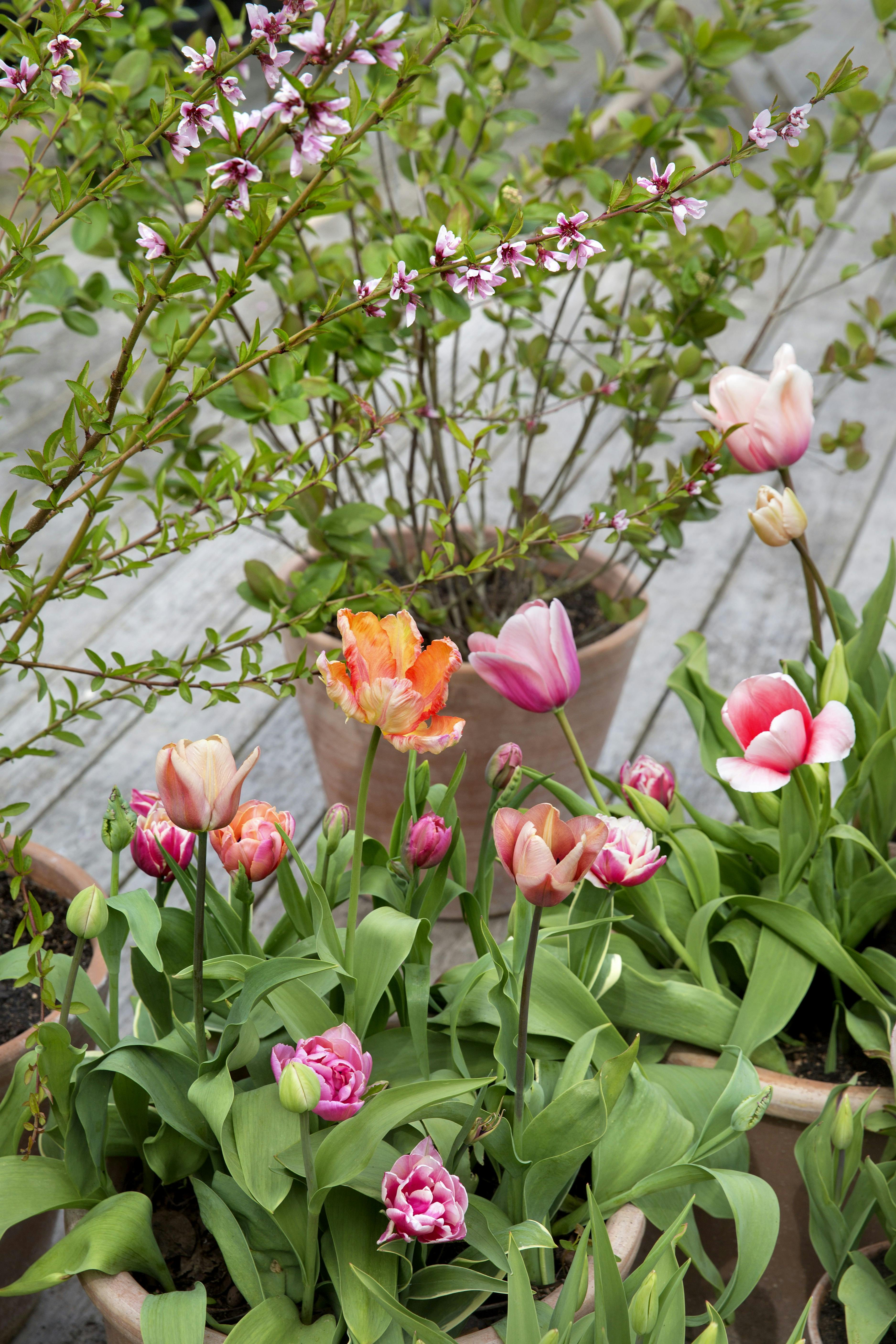 https://imgix.femina.dk/2025-05-02/8E0A4506.jpg