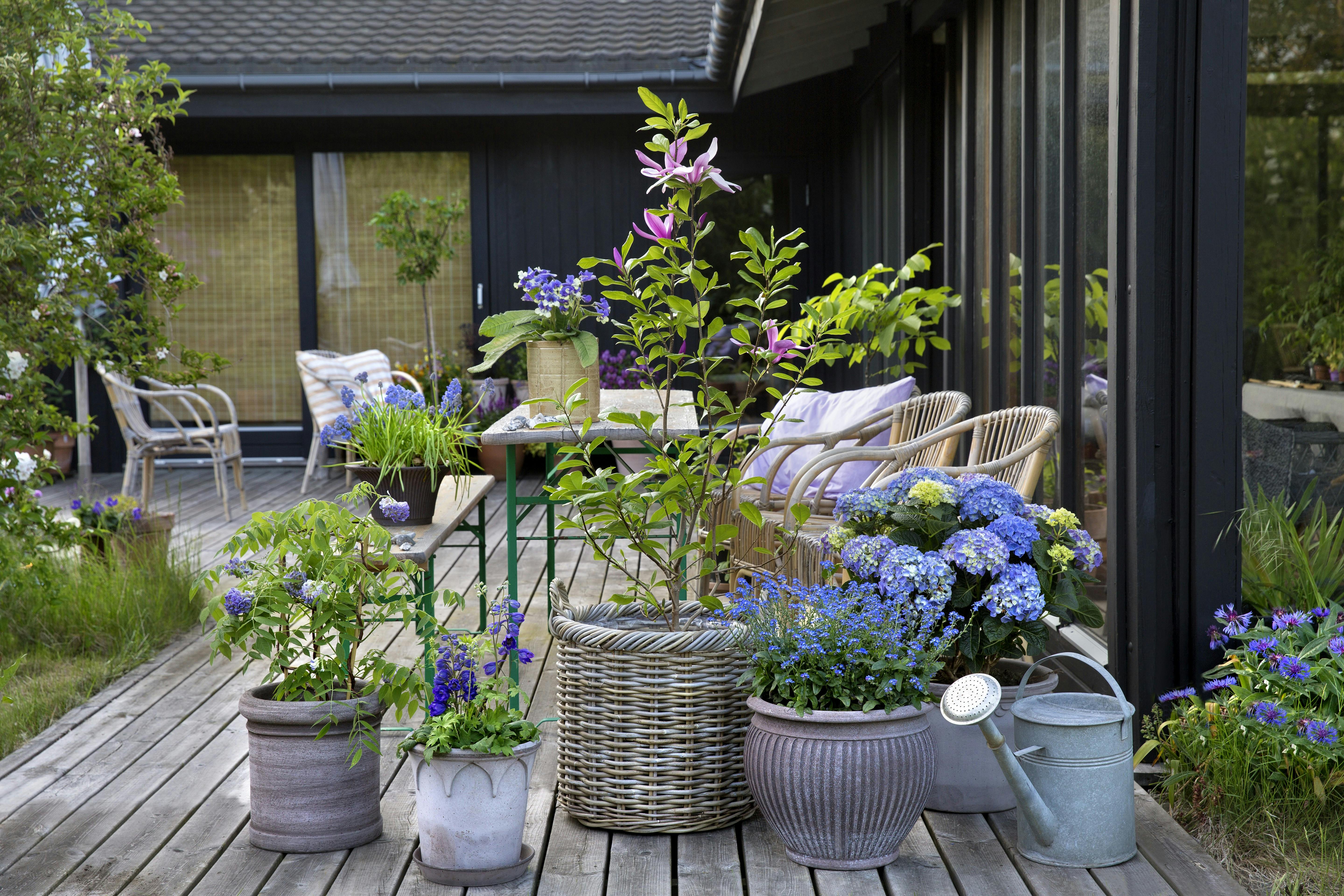 https://imgix.femina.dk/2025-05-02/8E0A8488.jpg