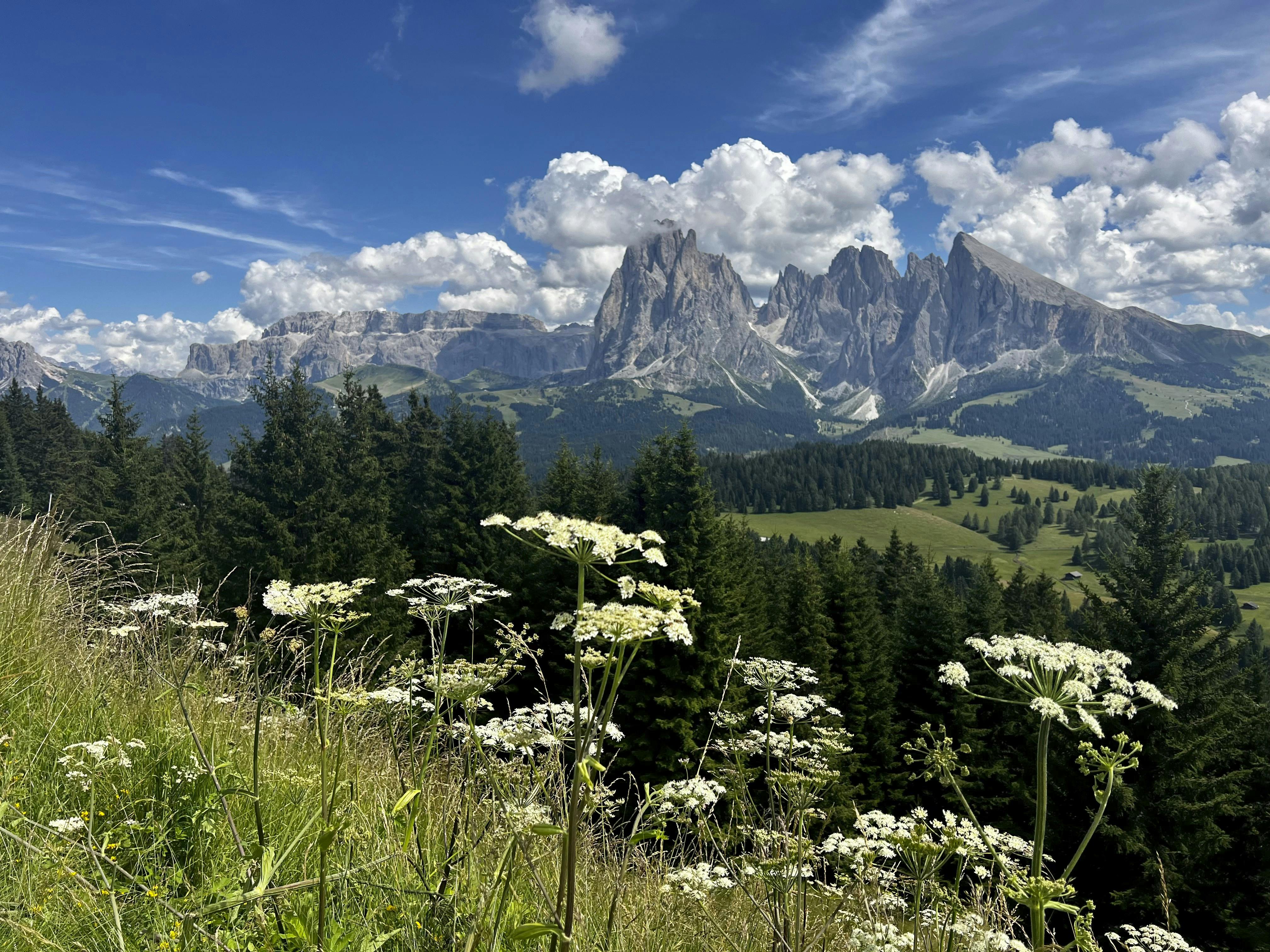 https://imgix.femina.dk/2025-05-08/Alpe-di-Siusi-1-FOTO-Sara-Madsen.jpg