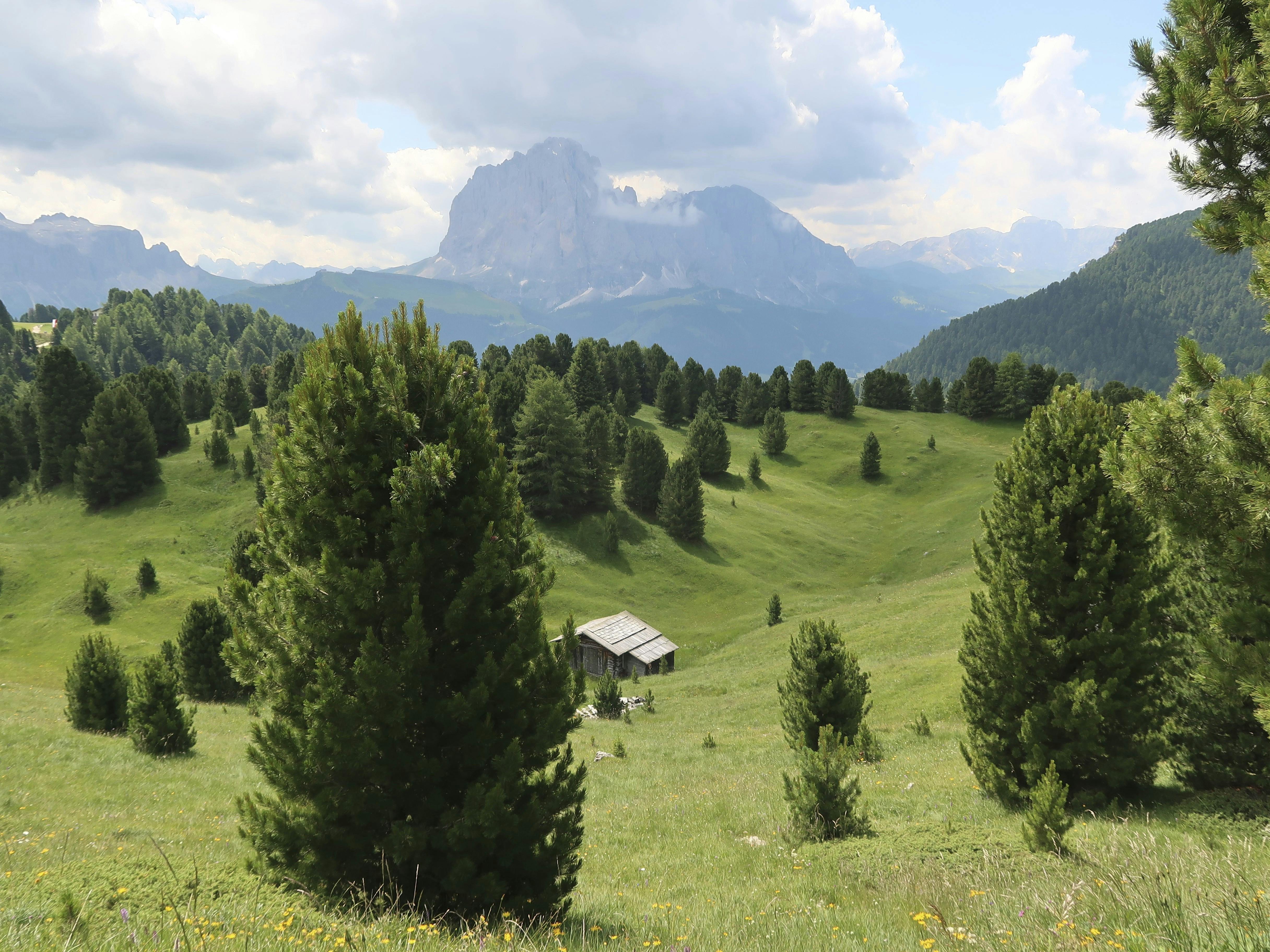 https://imgix.femina.dk/2025-05-08/Seceda-gronne-dale-FOTO-Sara-Madsen.jpg