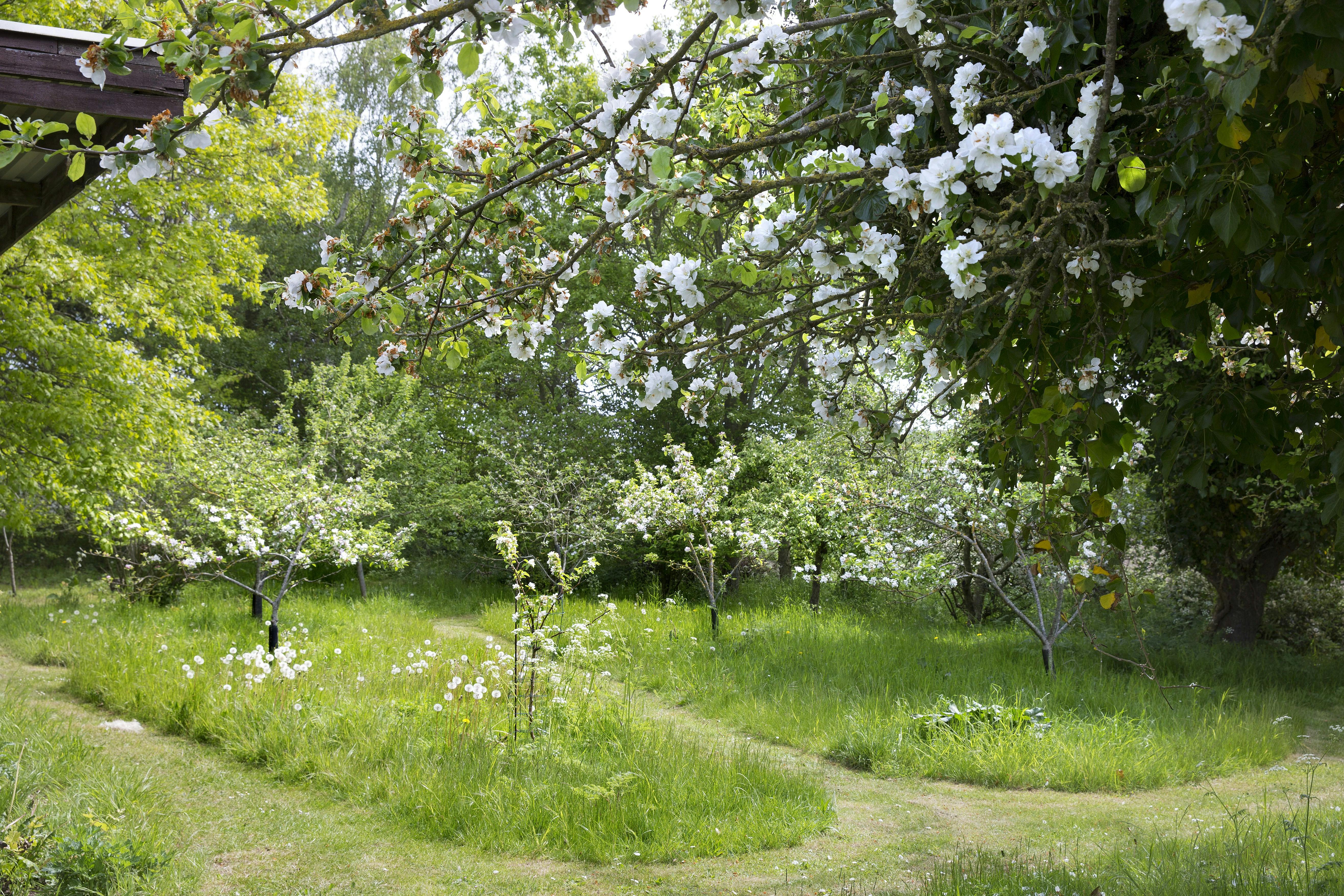 https://imgix.femina.dk/2025-05-14/8E0A6411-1.jpg
