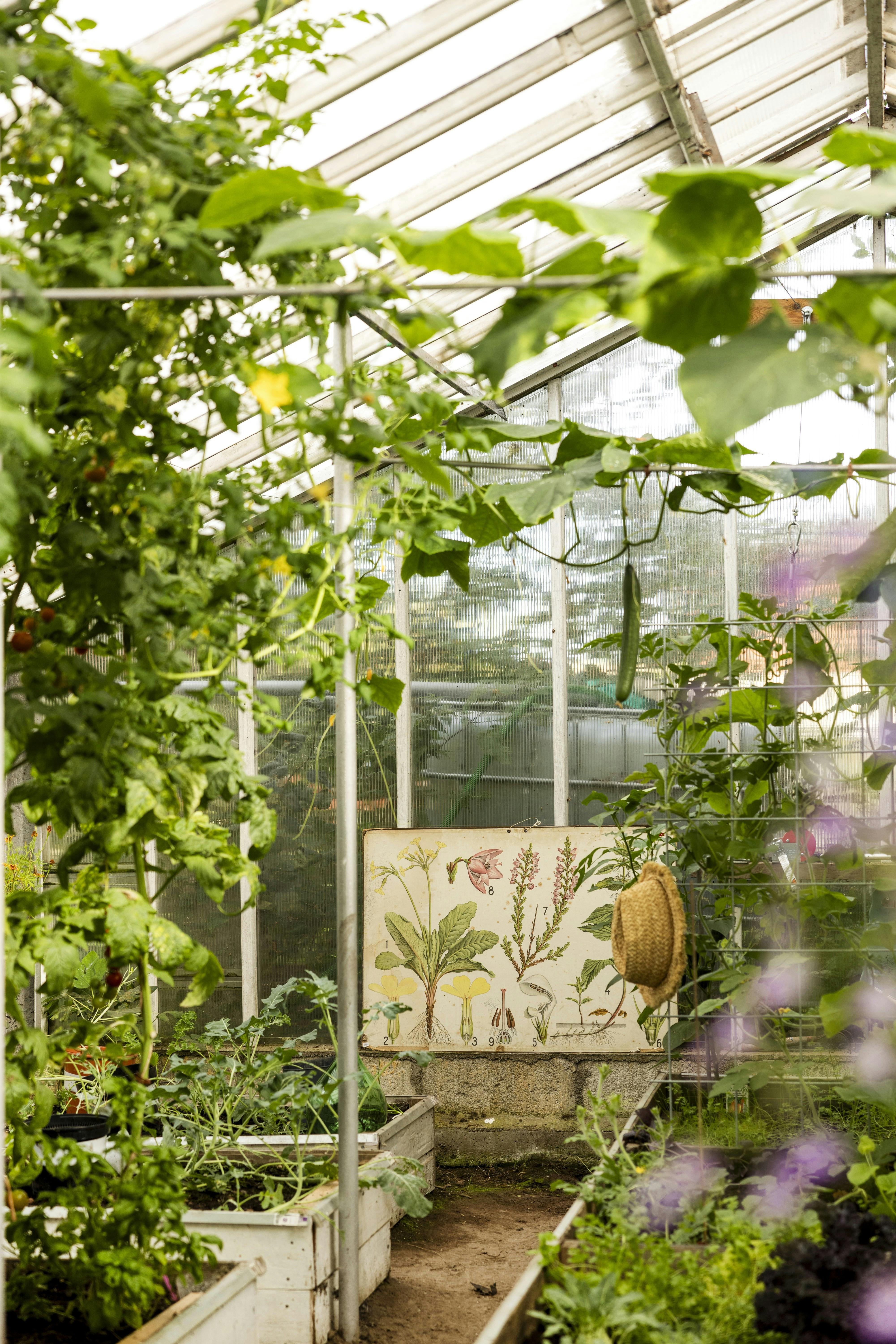 https://imgix.femina.dk/2025-05-27/19-3.jpg
