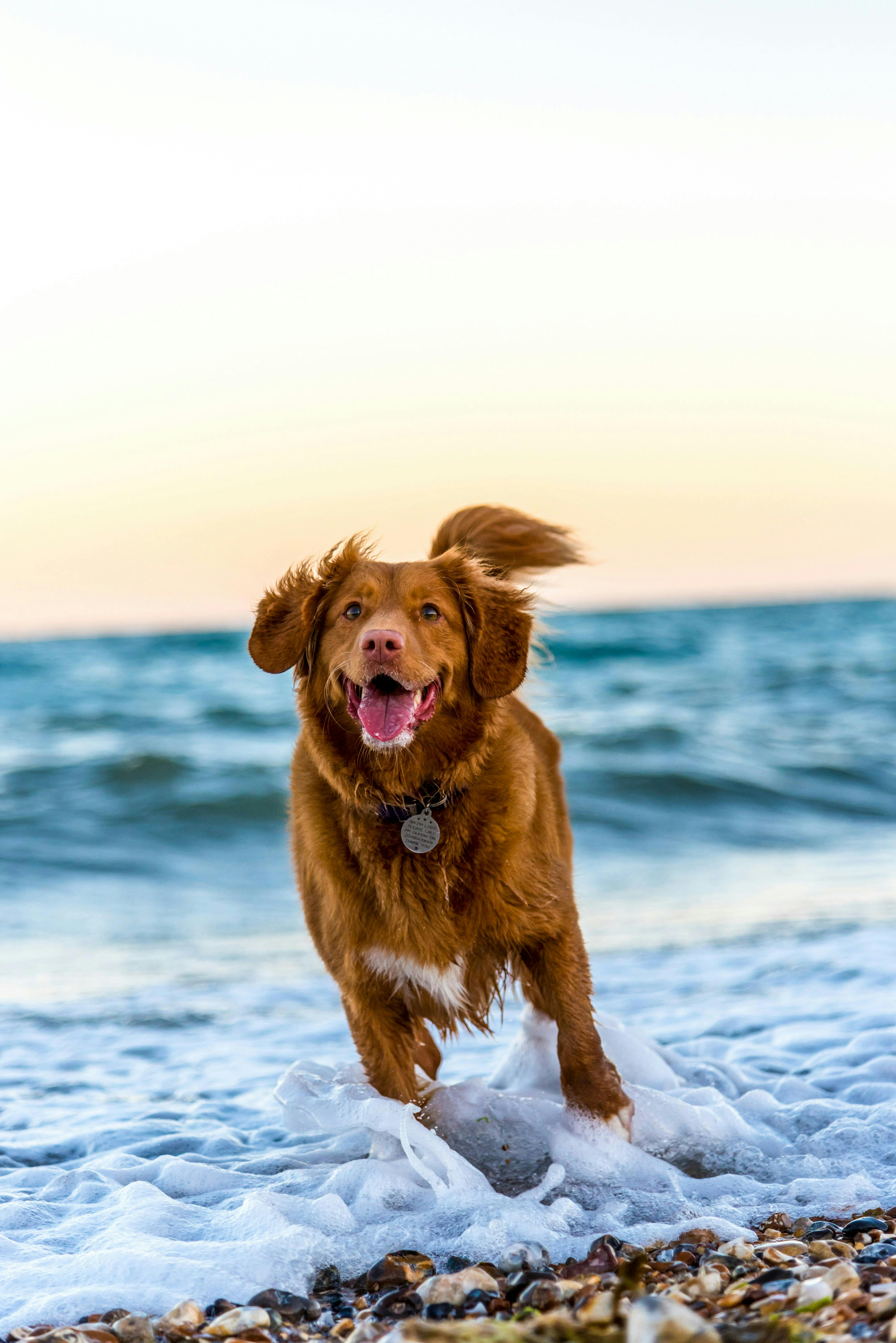 https://imgix.femina.dk/2025-05-28/oscar-sutton-yihlaRCCvd4-unsplash.jpg