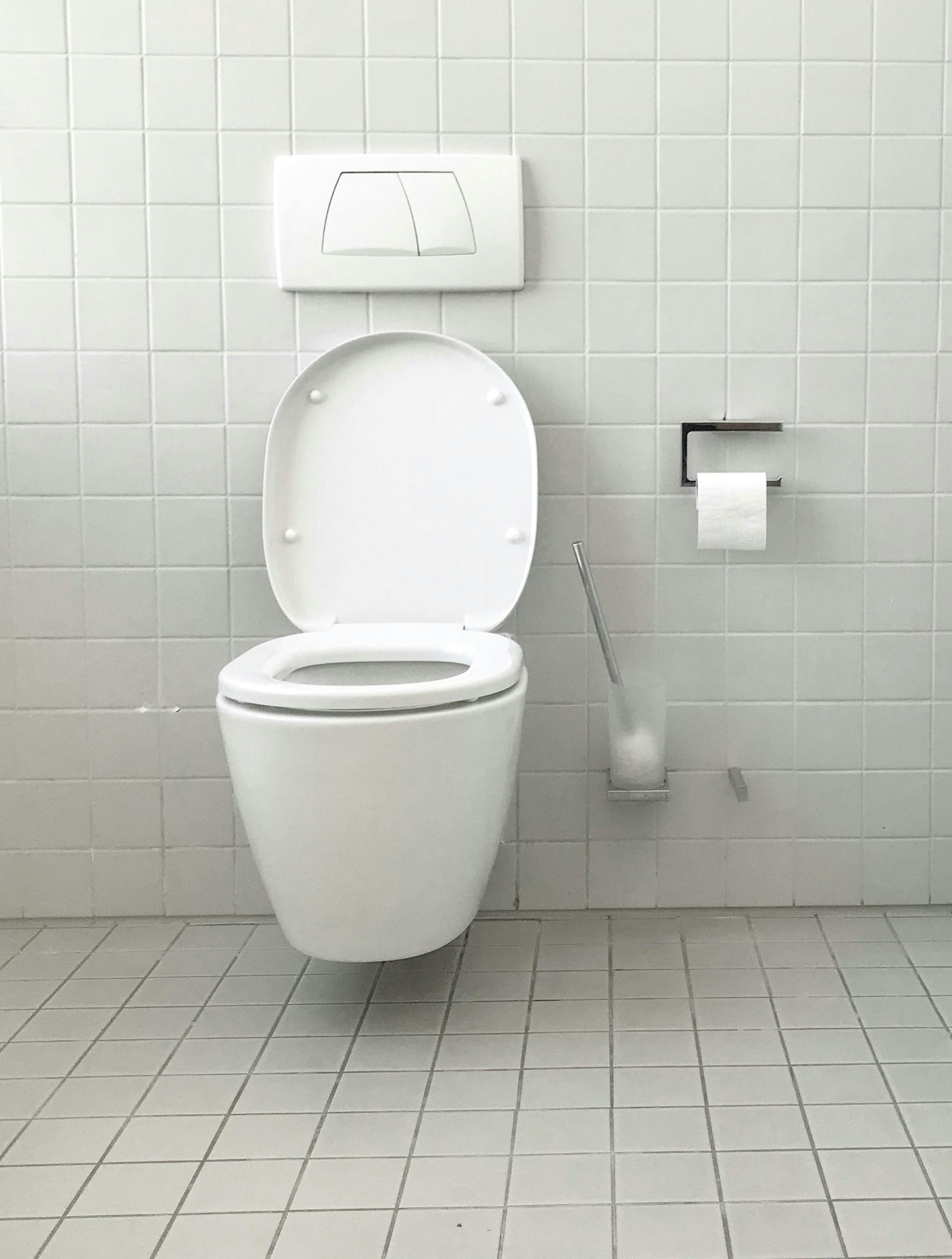 toilet