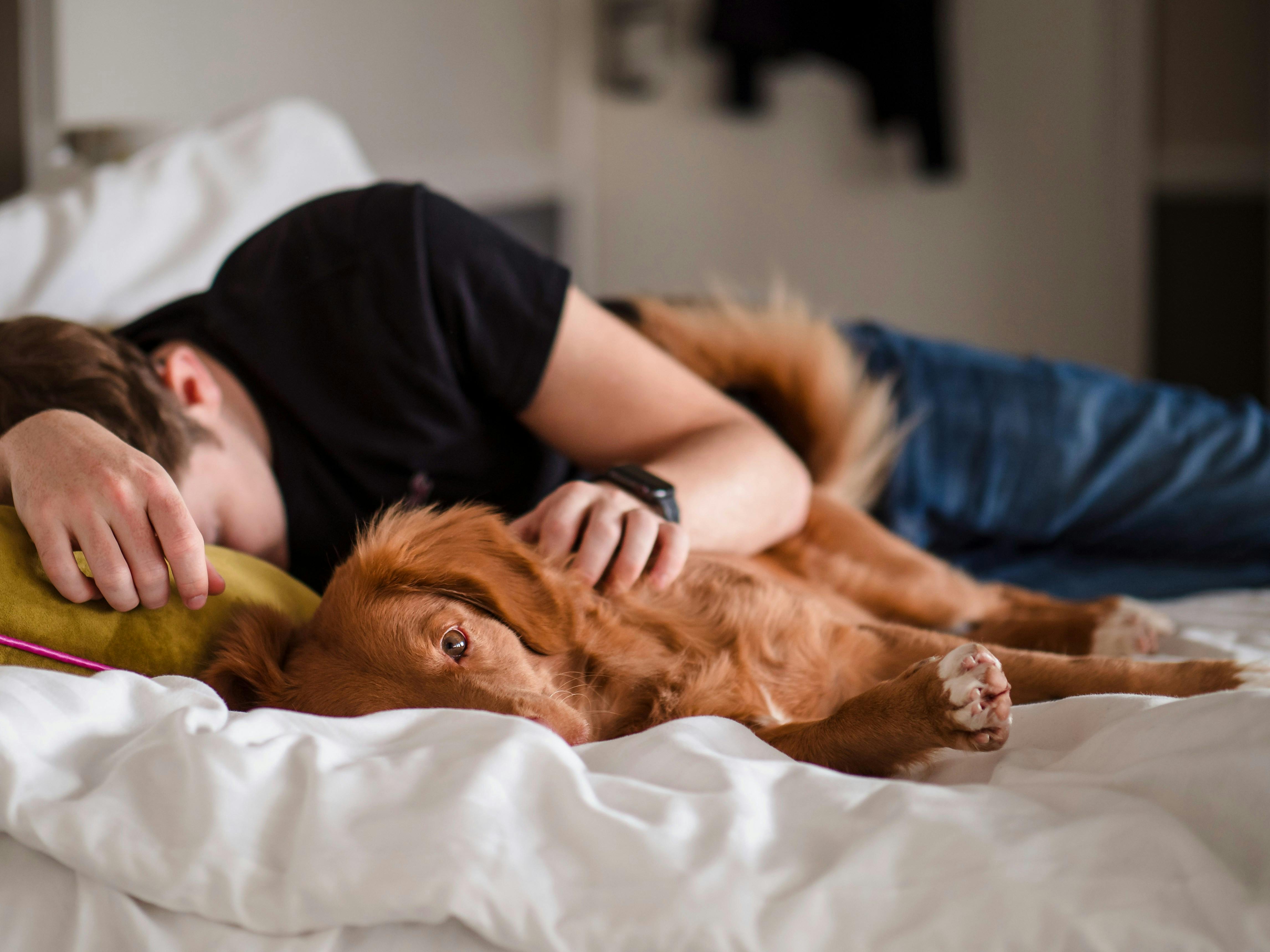 Mand der sover med sin hund