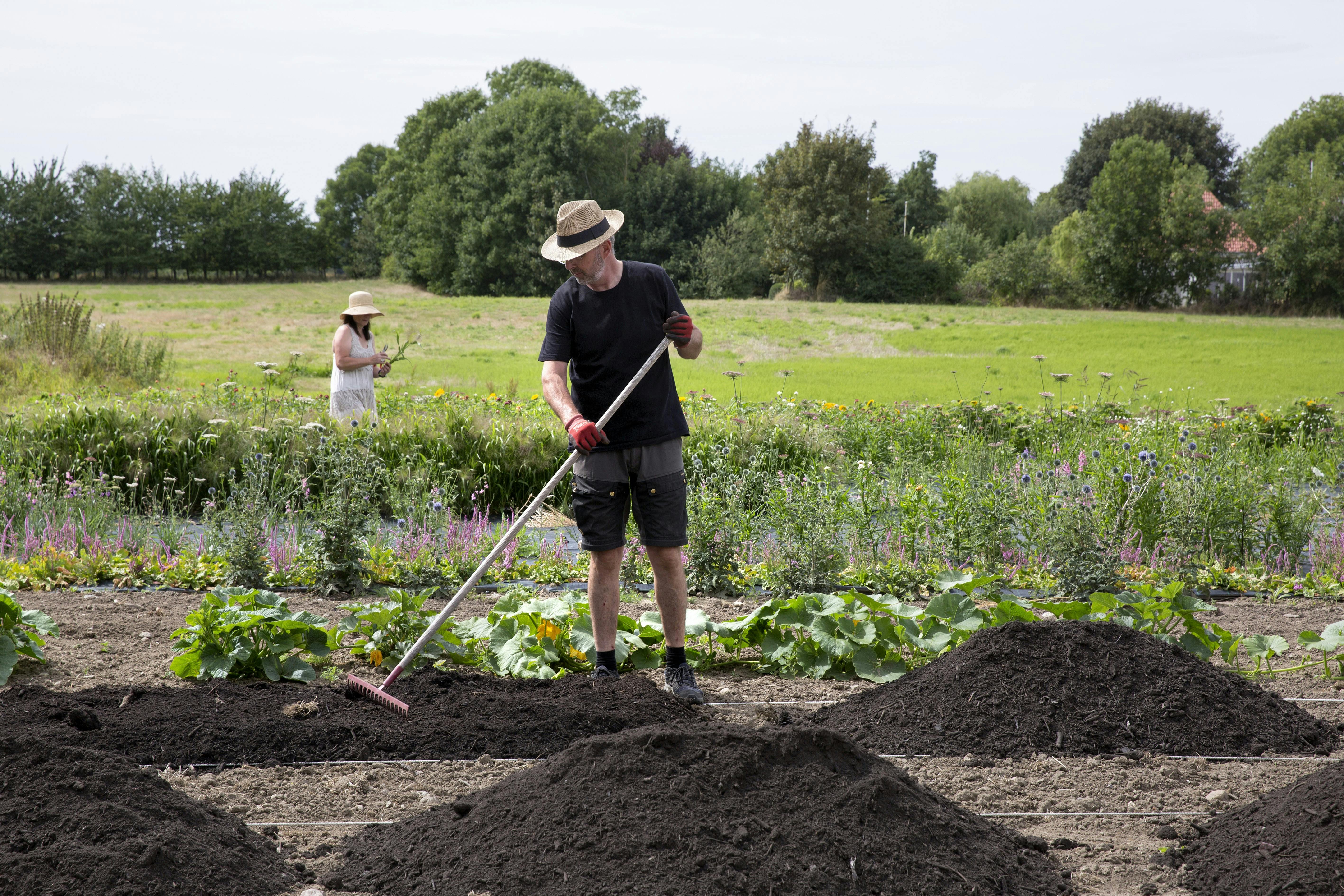 Henrik står for meget af lugearbejdet i blomstermarken. Han har i år udvidet den med en ekstra tredjedel.