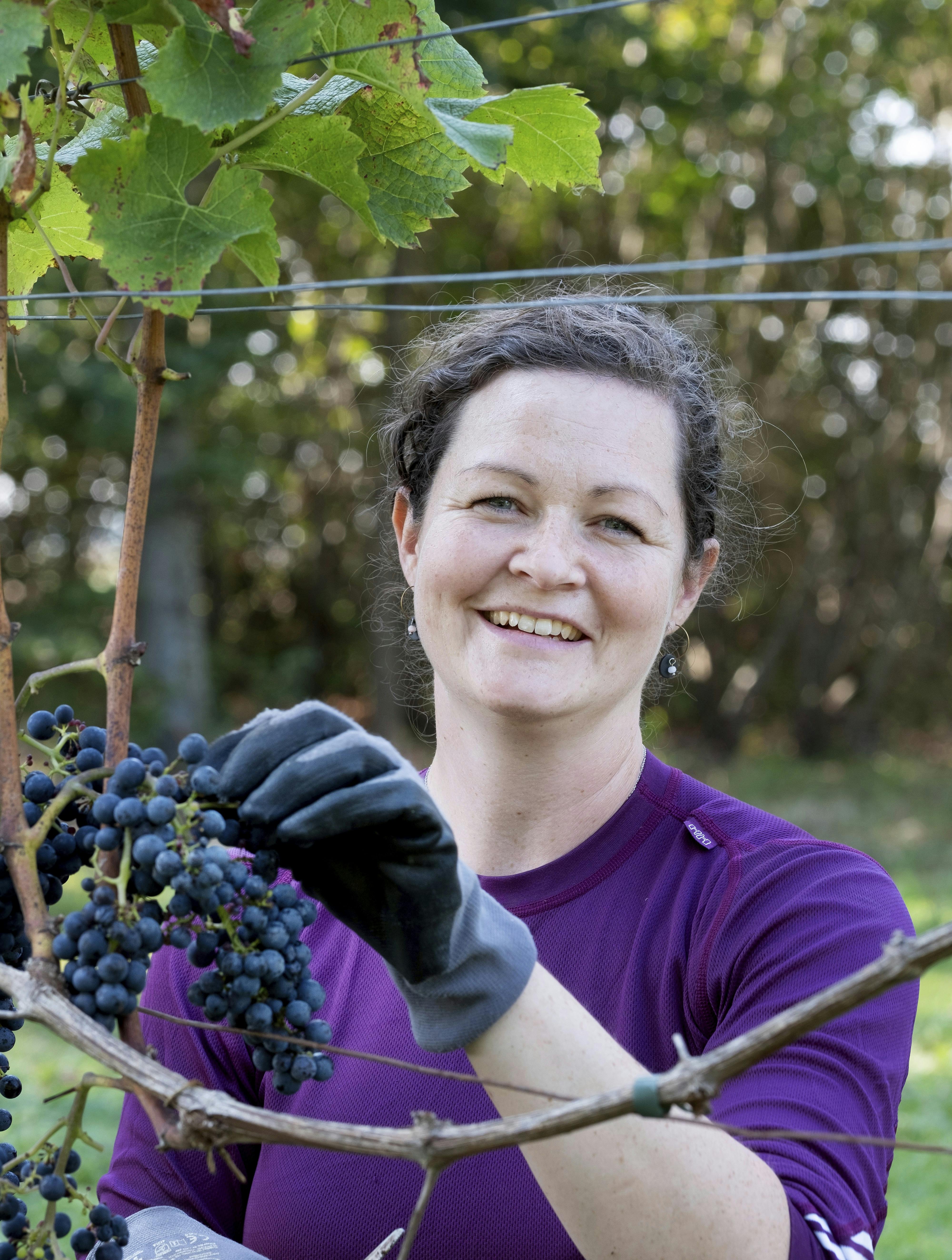 Jeanne nyder virkelig de sommeraftener, hvor hun er alene og i stilhed og ro kan koncentrere sig om arbejdet.
