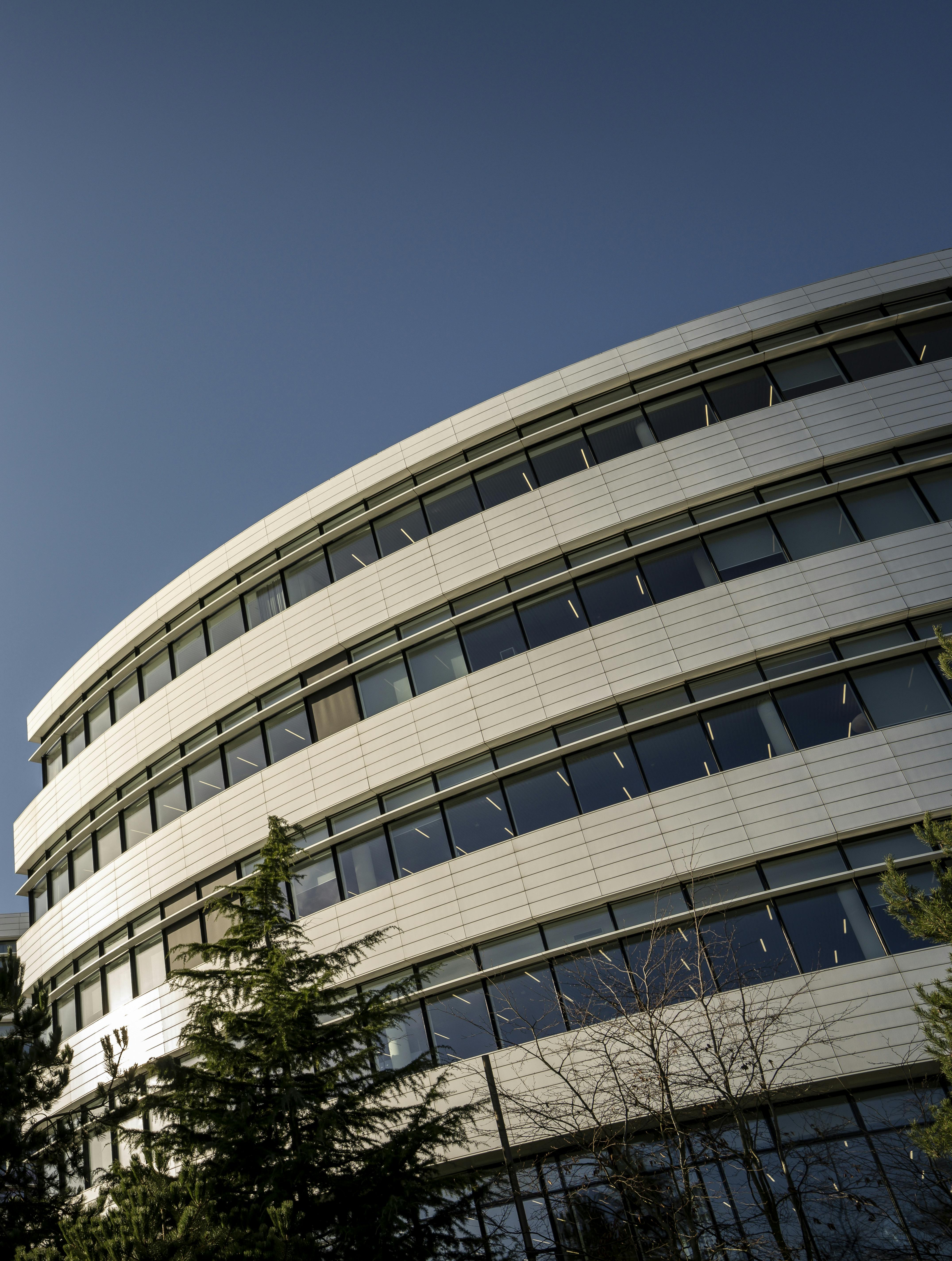 Har Novo Nordisk udvandet sproget omkring diversitet?