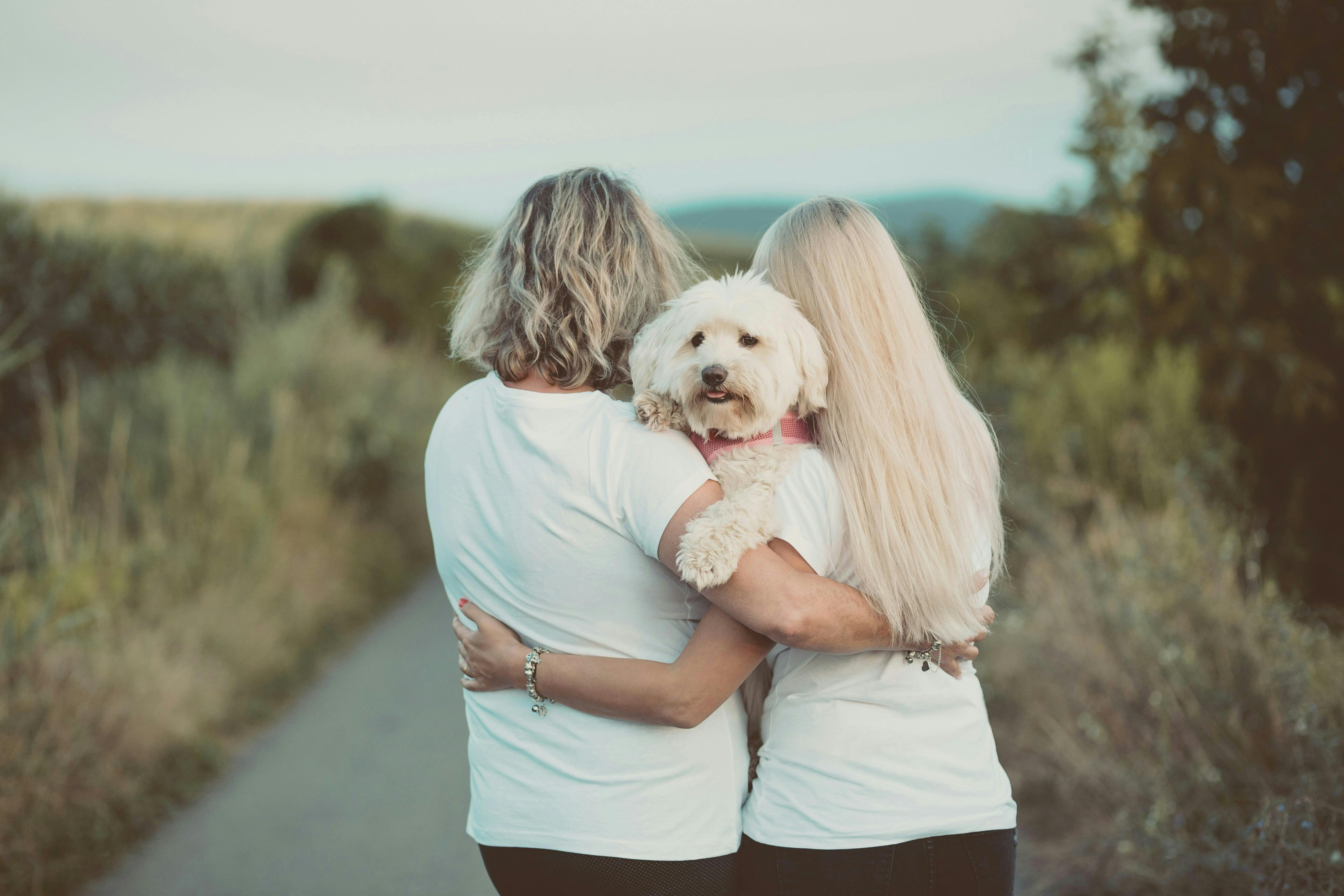 https://imgix.femina.dk/2025-07-02/catalin-pop-Hen3PrsTGsM-unsplash.jpg
