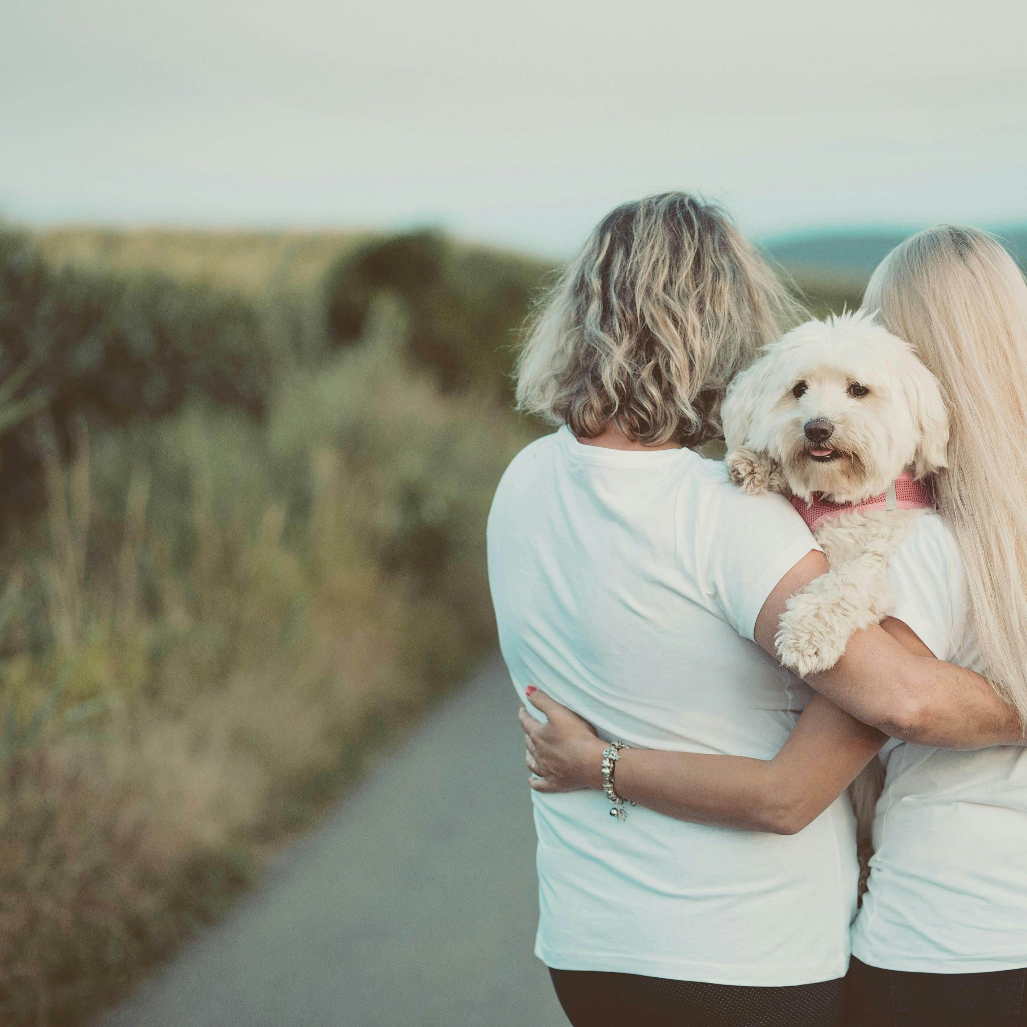 https://imgix.femina.dk/2025-07-02/catalin-pop-Hen3PrsTGsM-unsplash.jpg
